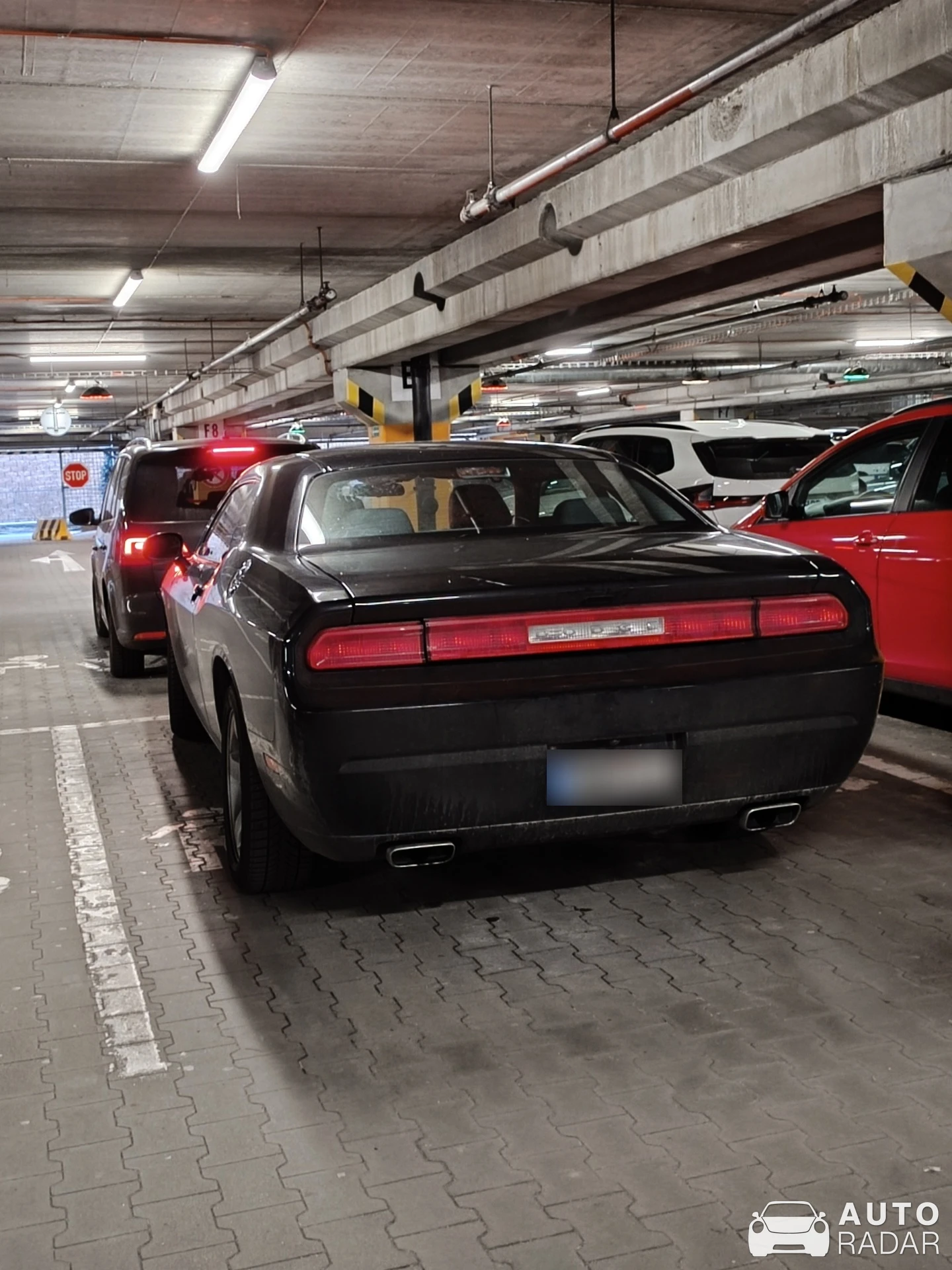 Dodge Challenger spotted in Jihlava, Česko
