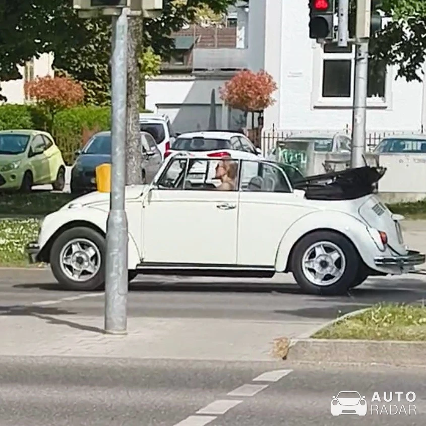 Volkswagen Käfer spotted in Weingarten