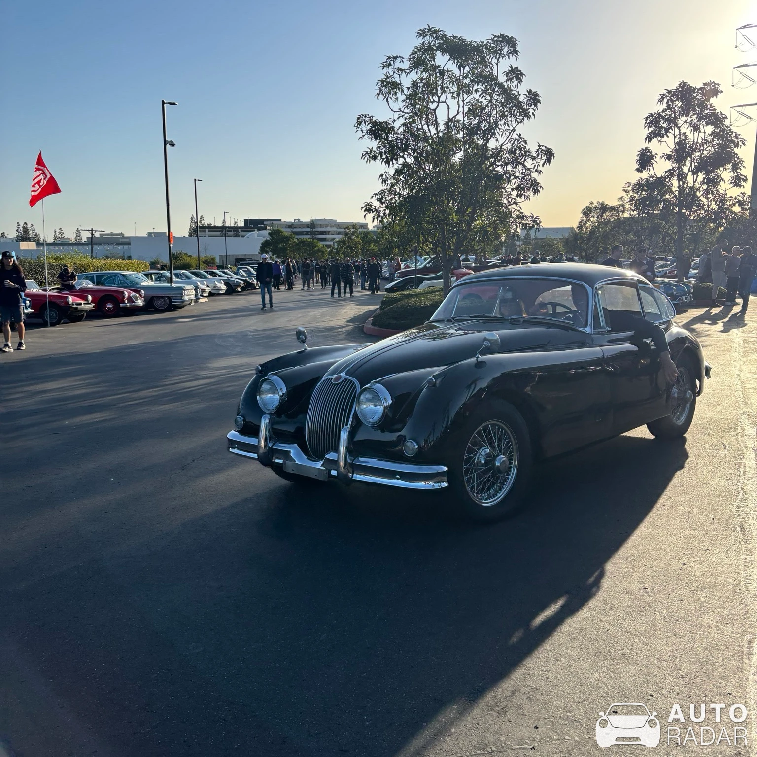 Alfa Romeo 6C 2300 Pescara spotted in El Segundo