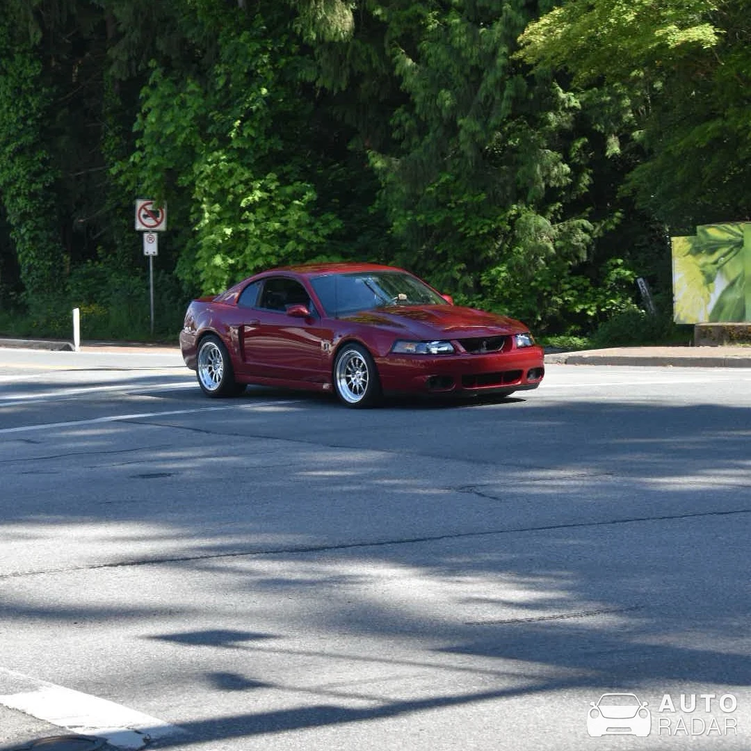 Ford SVT Mustang Cobra spotted in Surrey