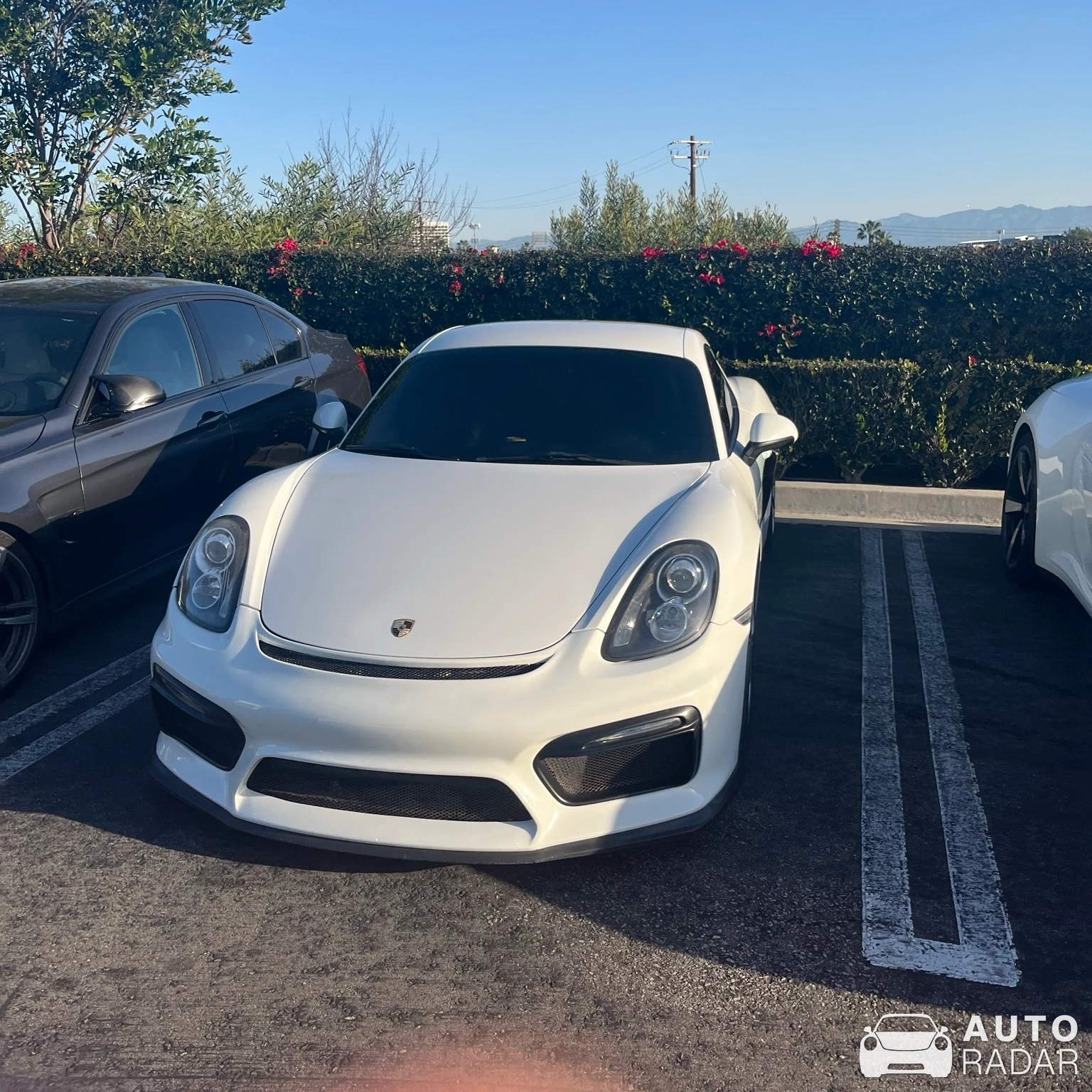 Porsche 981 Cayman GT4 spotted in Hermosa Beach, United States