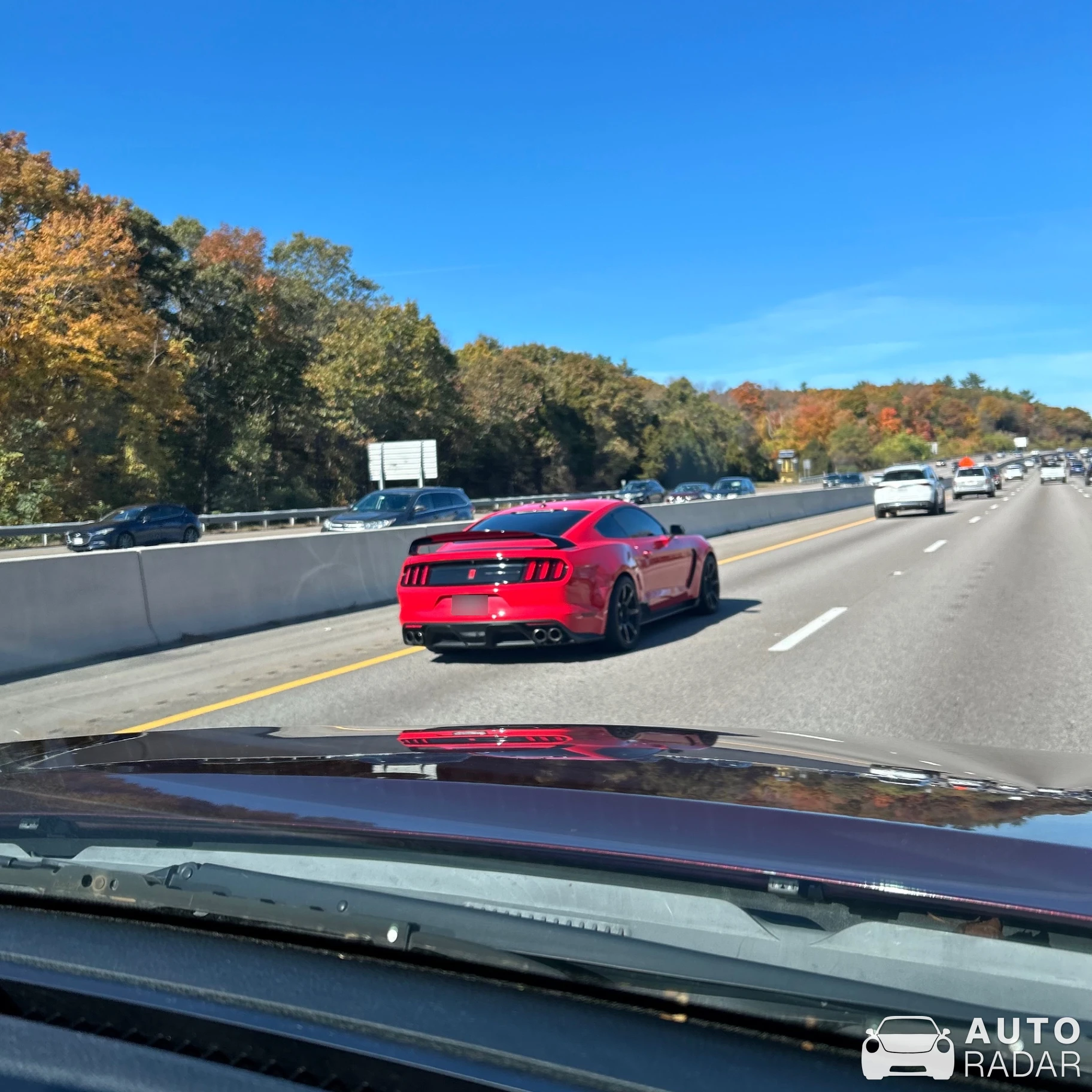 Ford Mustang Shelby GT350 spotted in Weston, United States