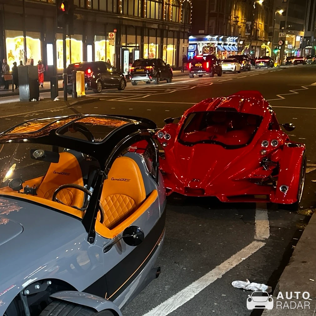 Campagna T-Rex RR spotted