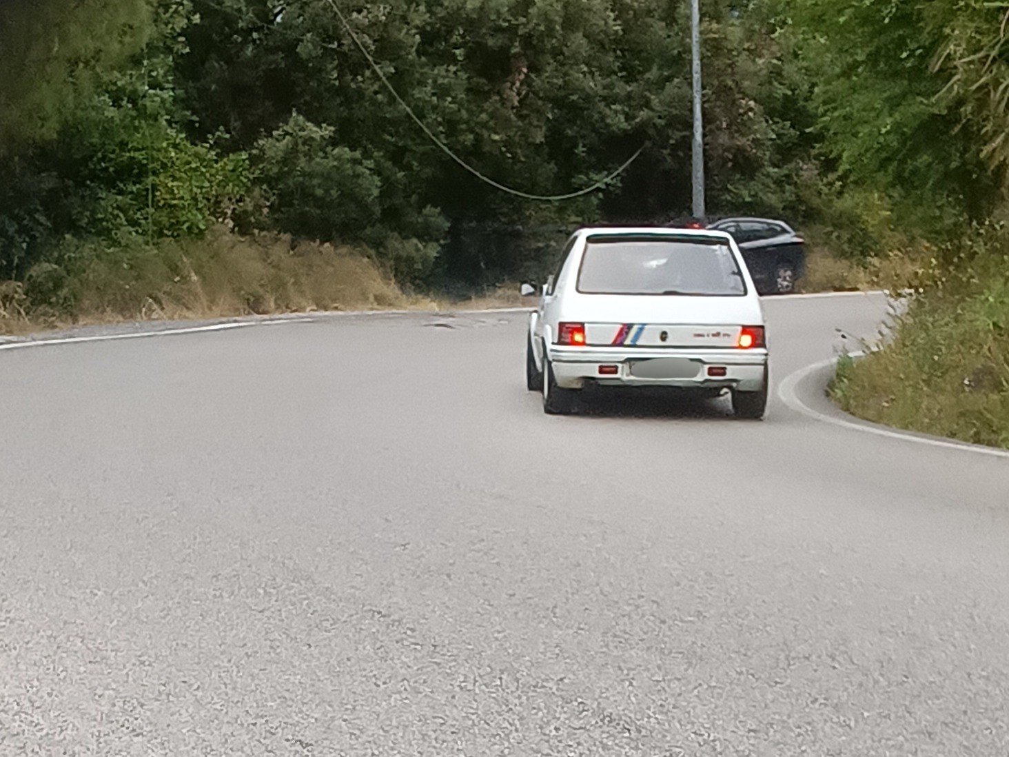 Peugeot 205 Rallye