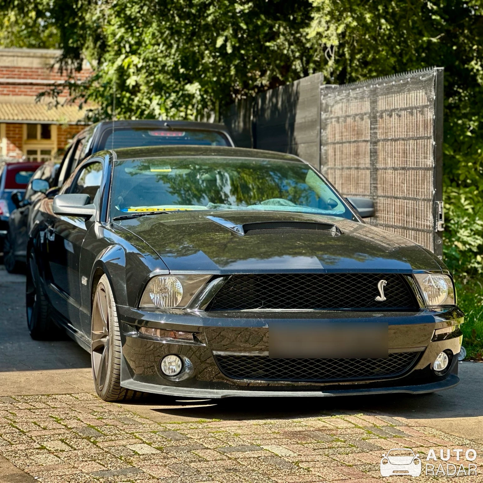 Ford Mustang Shelby GT500 KR spotted in Rotterdam