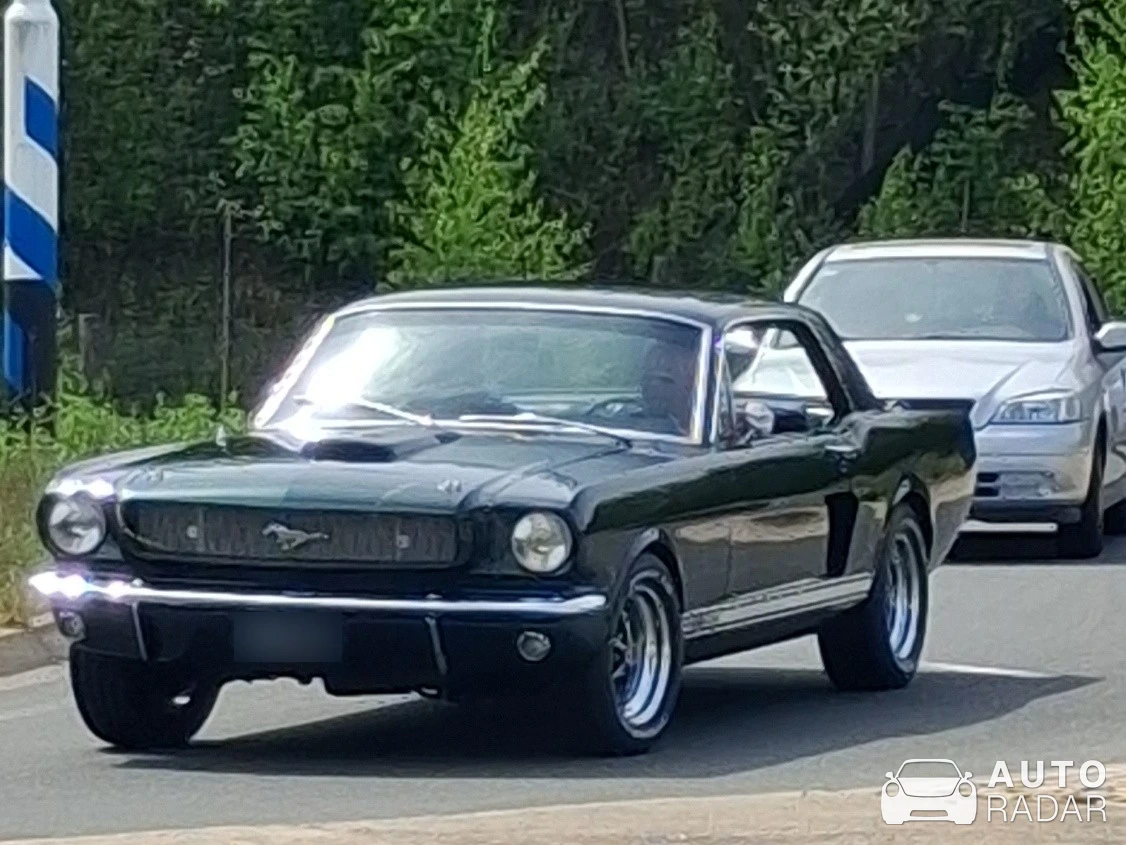 Ford Mustang Shelby G.T. 350 spotted in Landgraaf