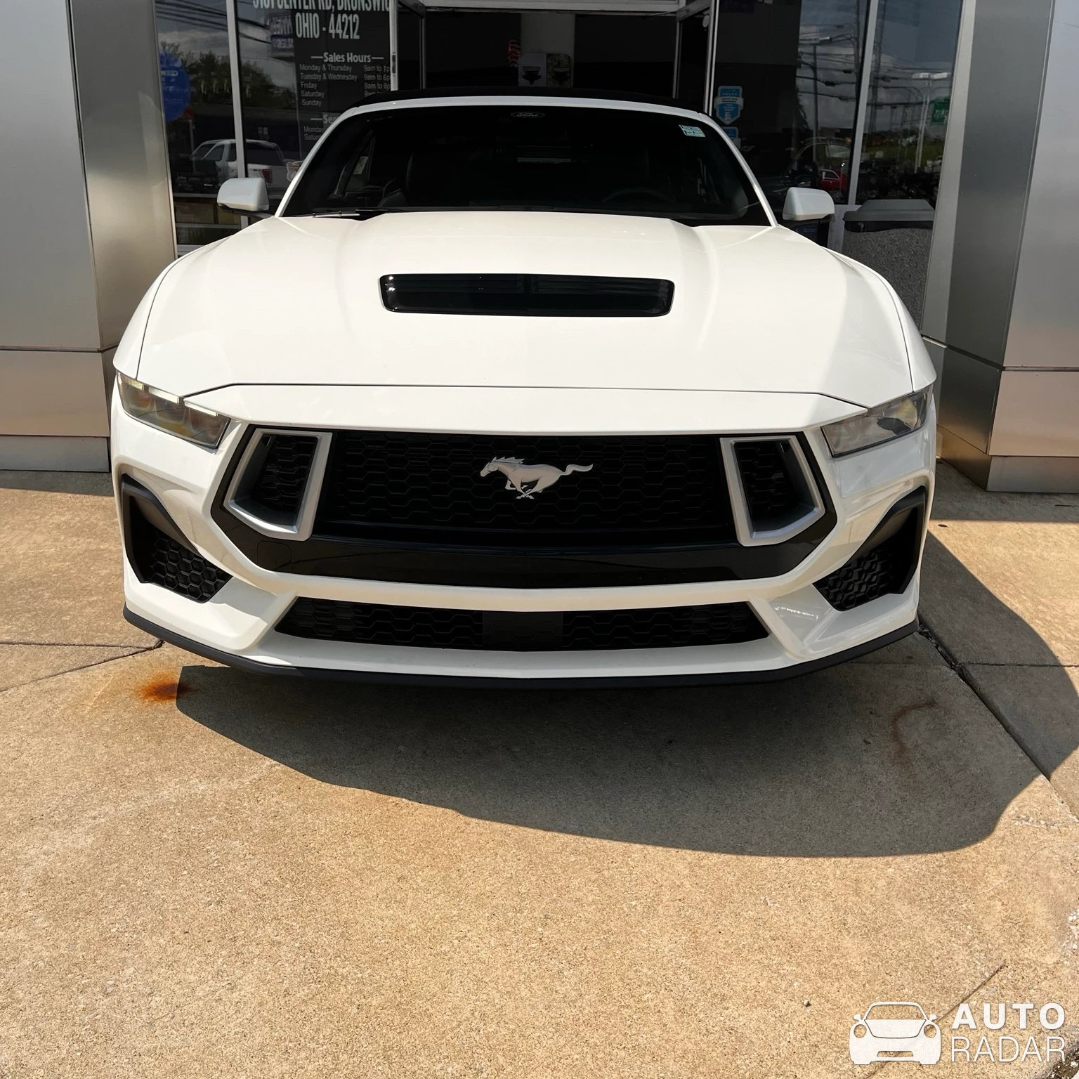 Ford Mustang GT Convertible 60th Anniversary spotted in Brunswick, United States