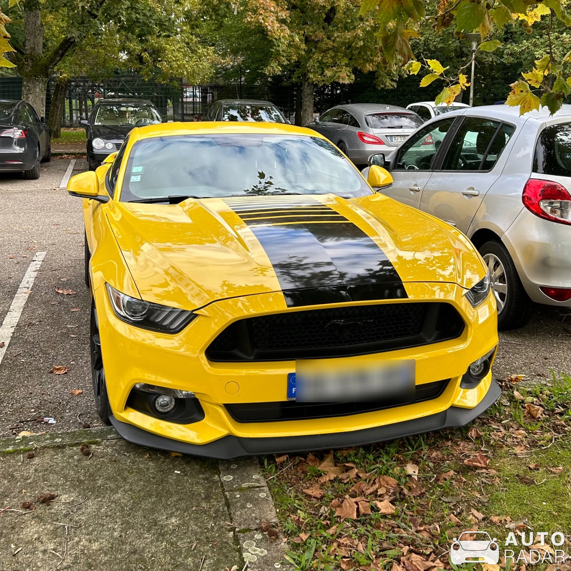 Ford Mustang GT spotted in Haguenau, France