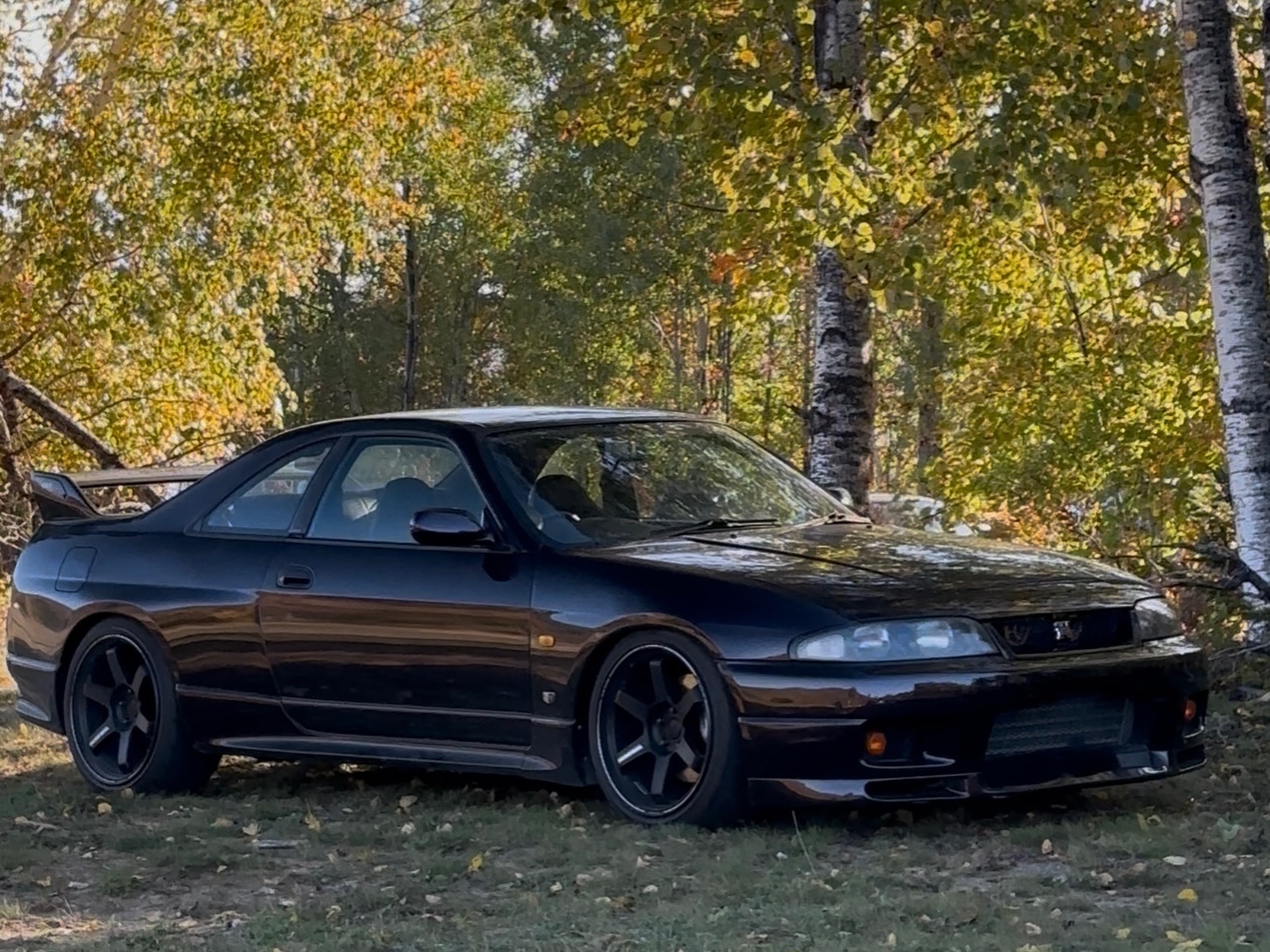 Nissan Skyline R33 GT-R V-Spec Midnight Purple