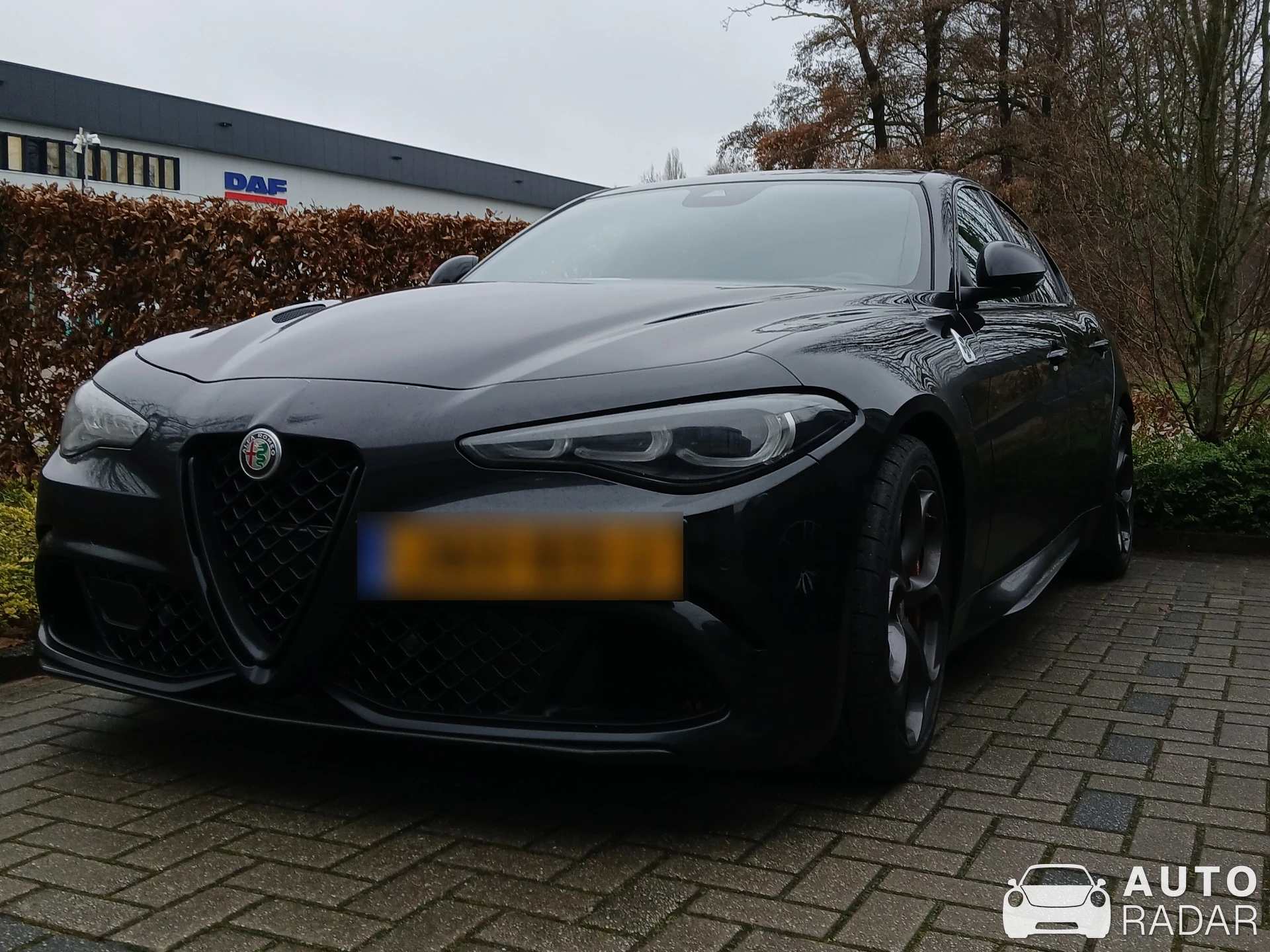 Alfa Romeo Giulia Quadrifoglio spotted in Hengelo, Netherlands