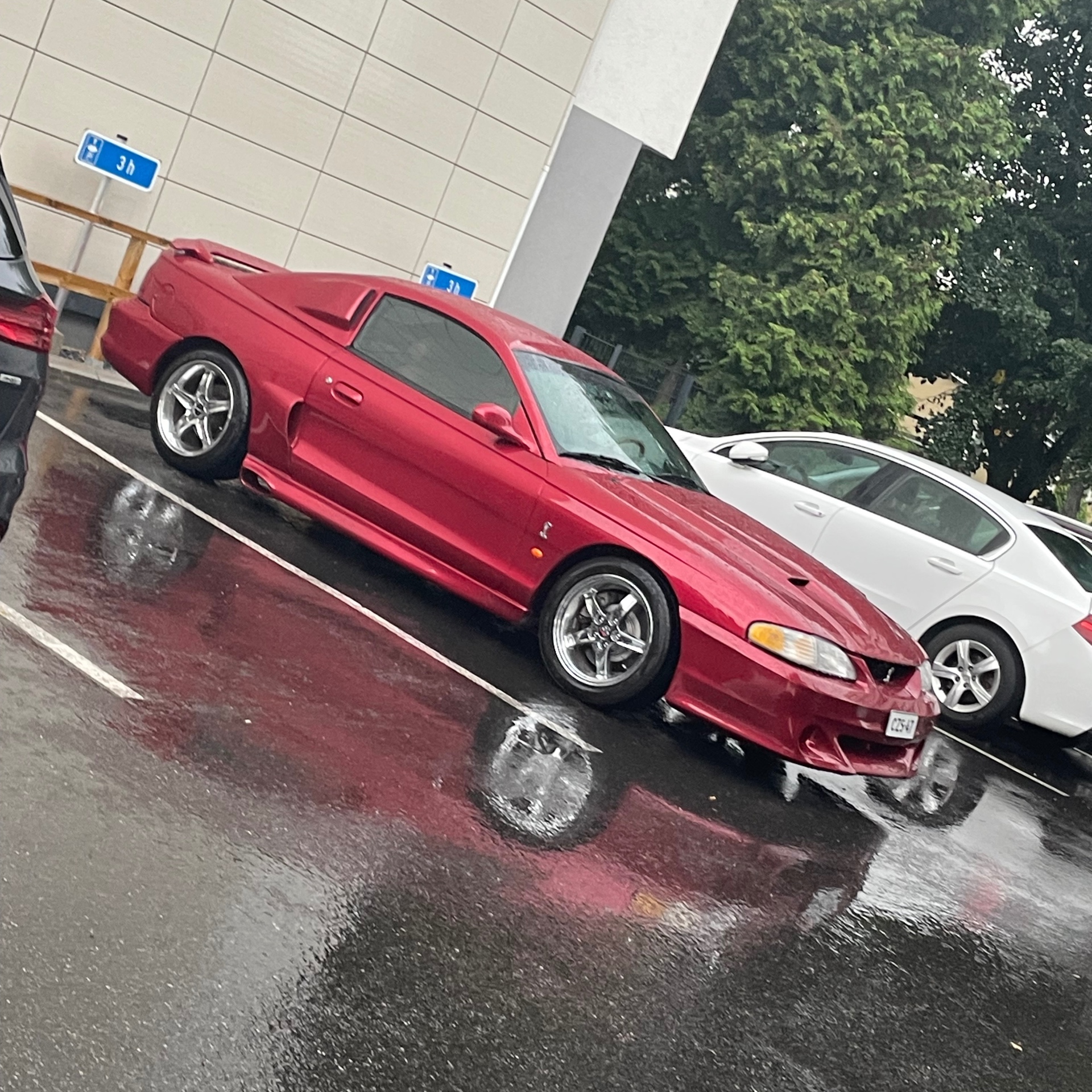 Ford SVT Mustang Cobra