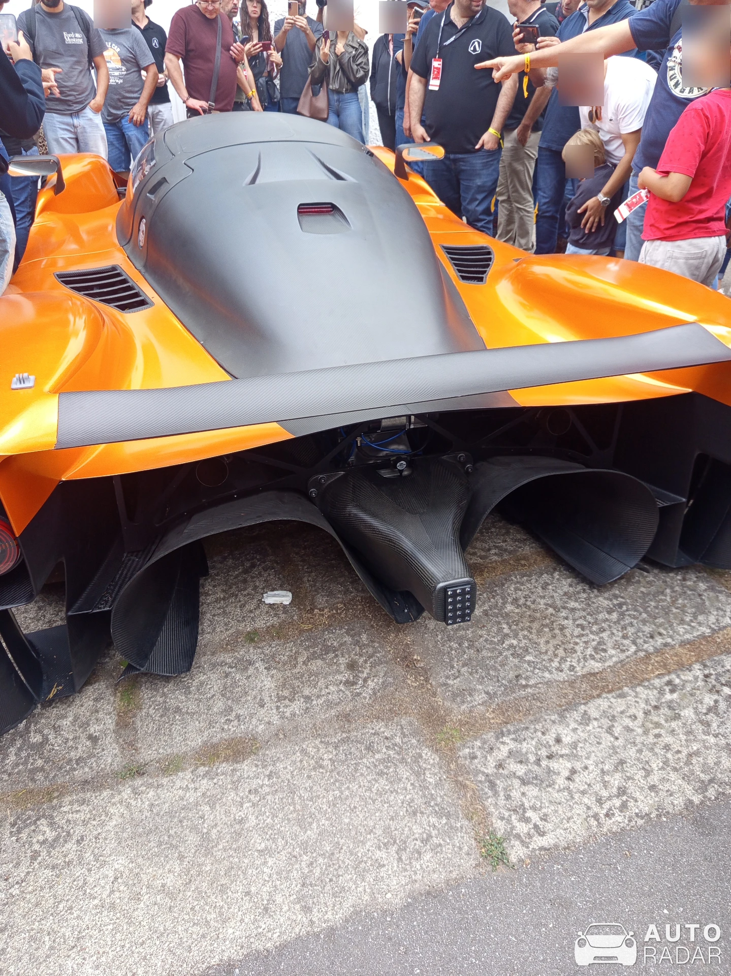 Adamastor Furia spotted in Caramulo