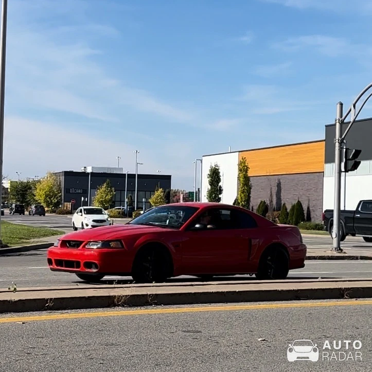 Ford Mustang GT spotted in Charlemagne, Canada