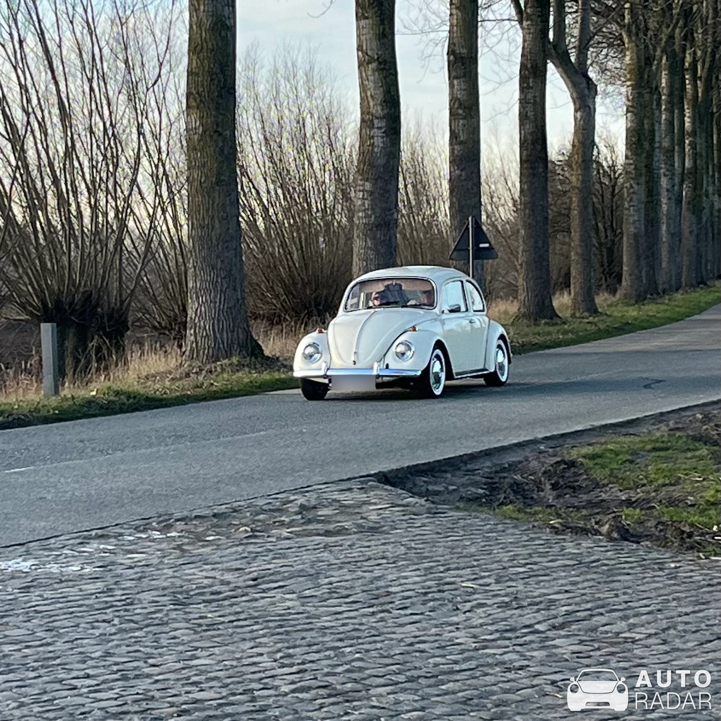 Volkswagen Beetle spotted in Lokeren, België