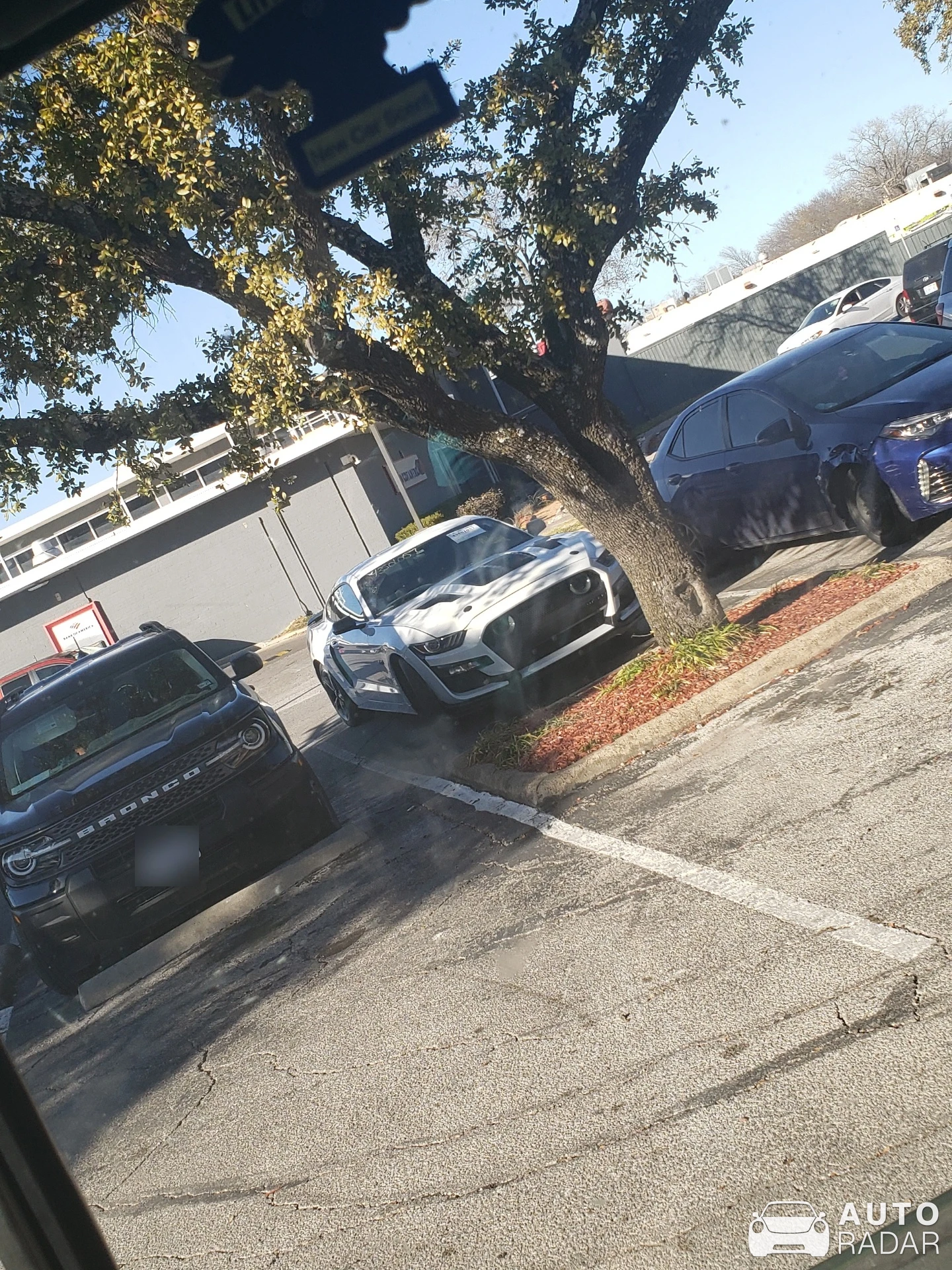 Ford Mustang GT spotted in Tyler, United States