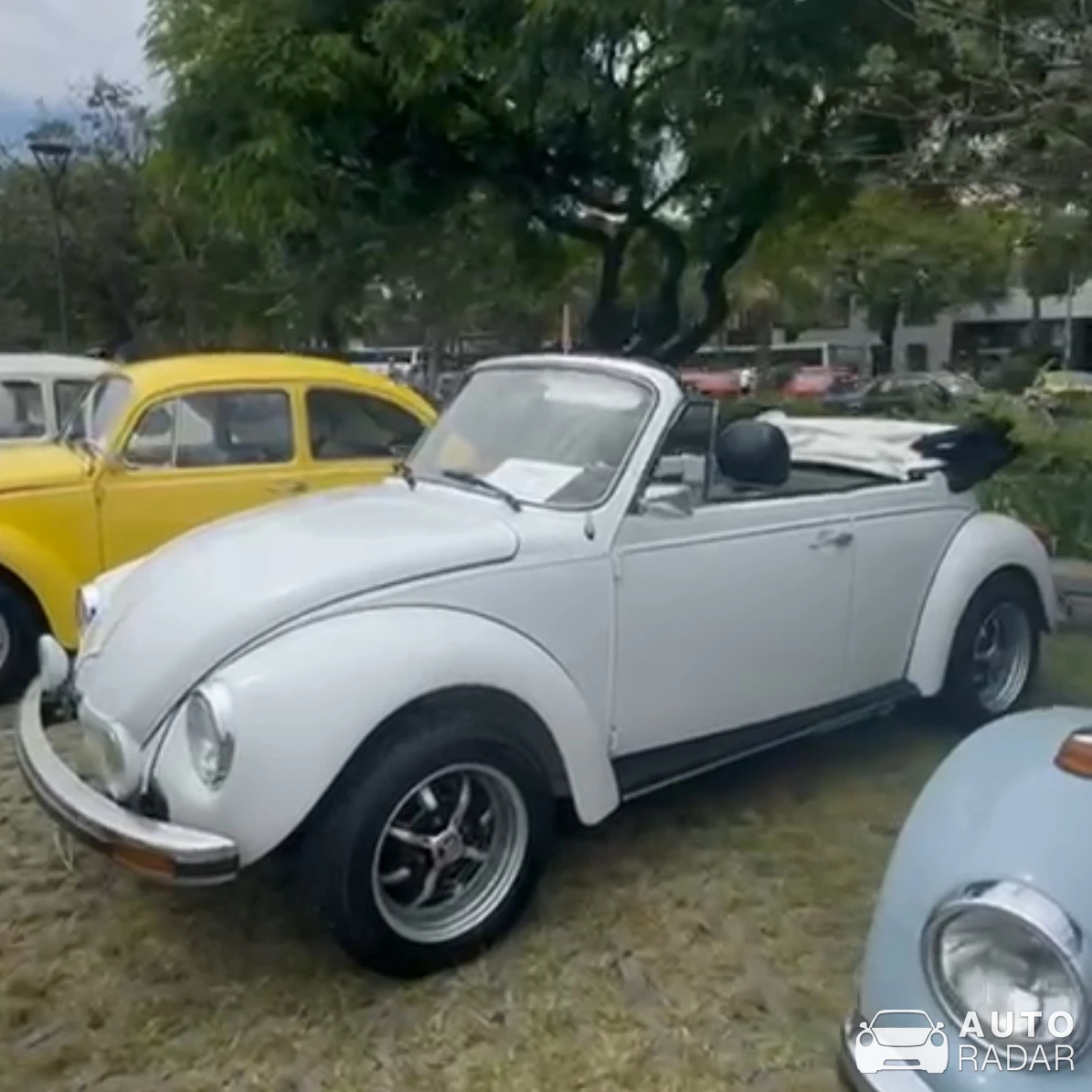 Volkswagen Beetle spotted in Lisbon, Portugal