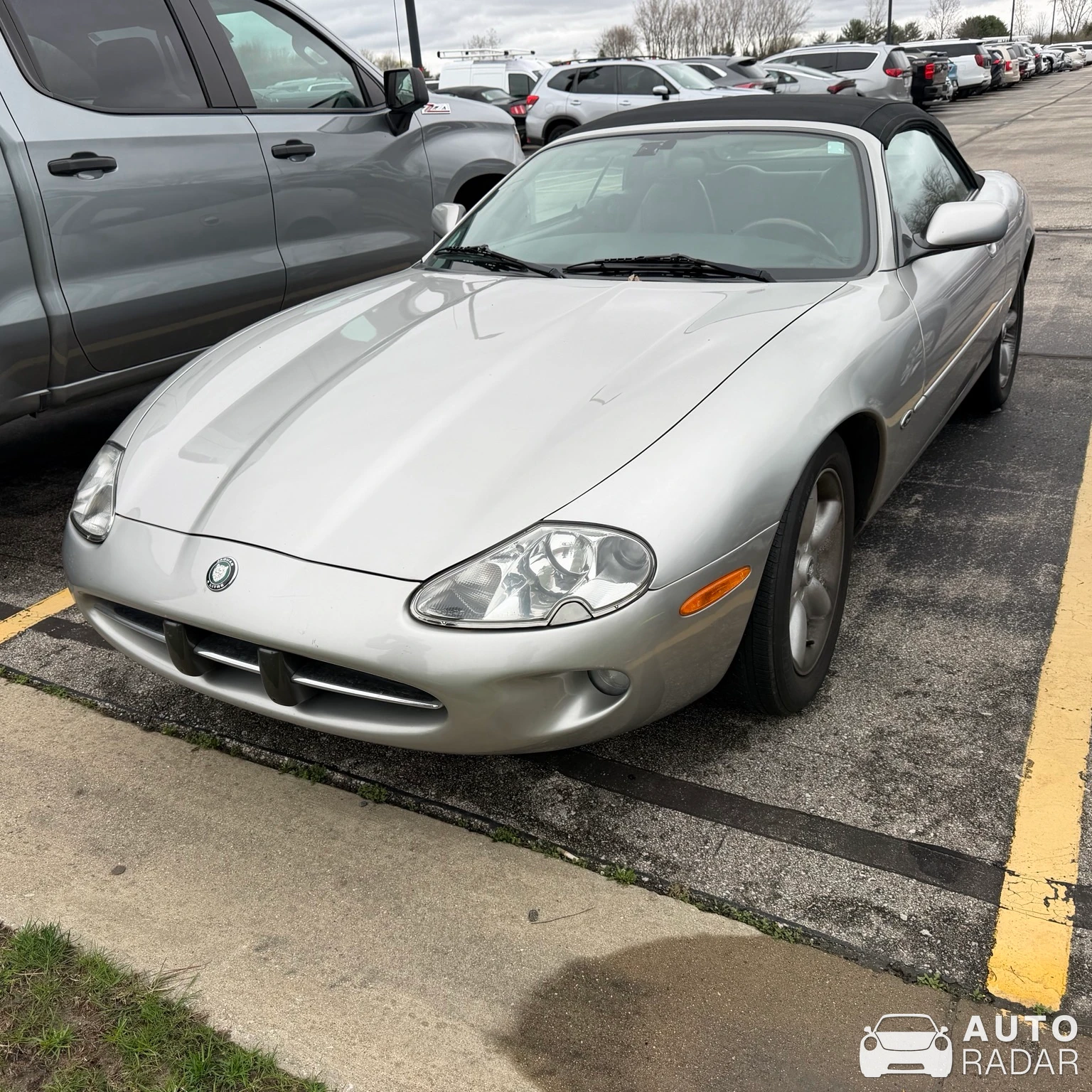 Jaguar XK8 spotted in Bay City