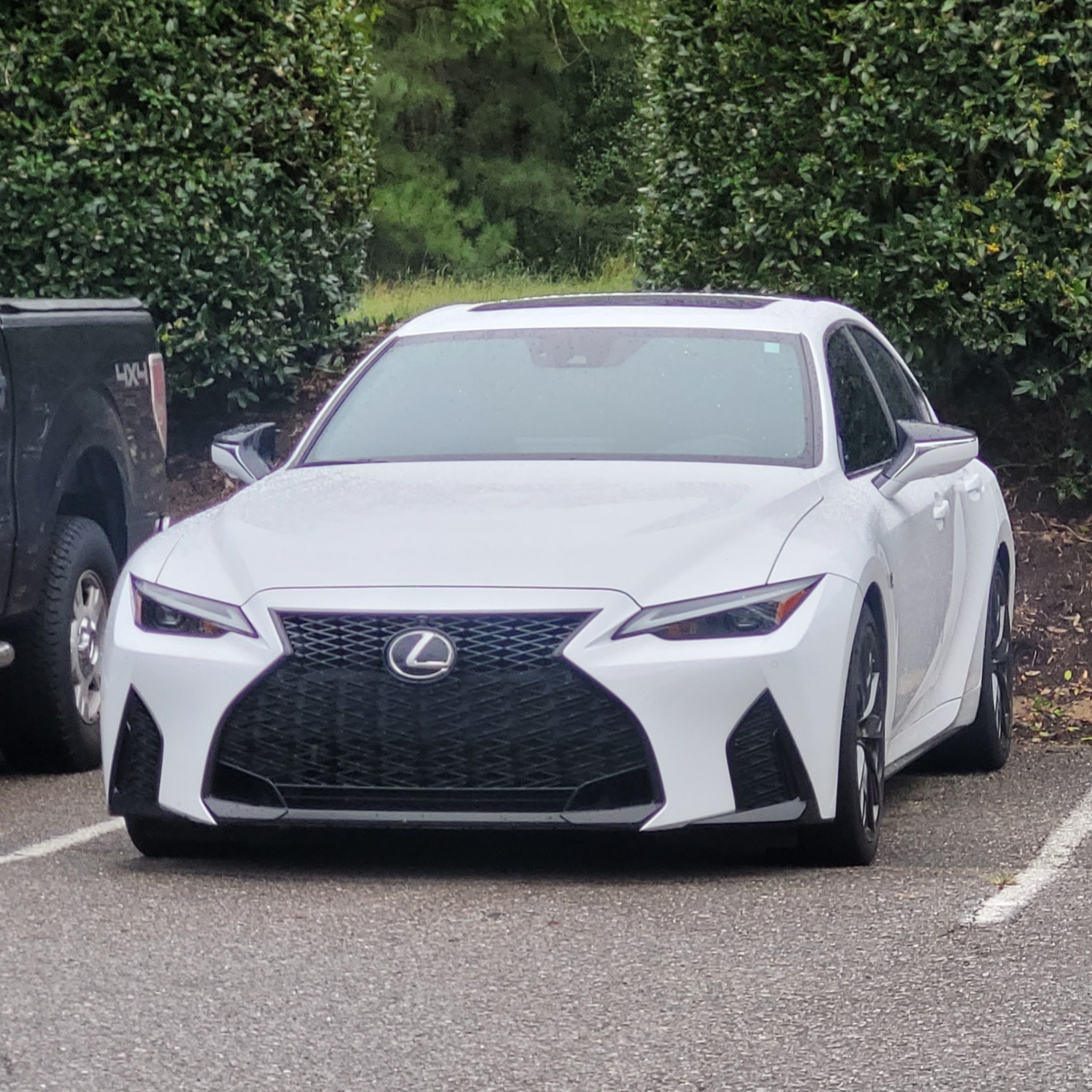 Lexus IS-F