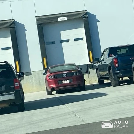 Ford Mustang Shelby GT500 2013 spotted in Calgary