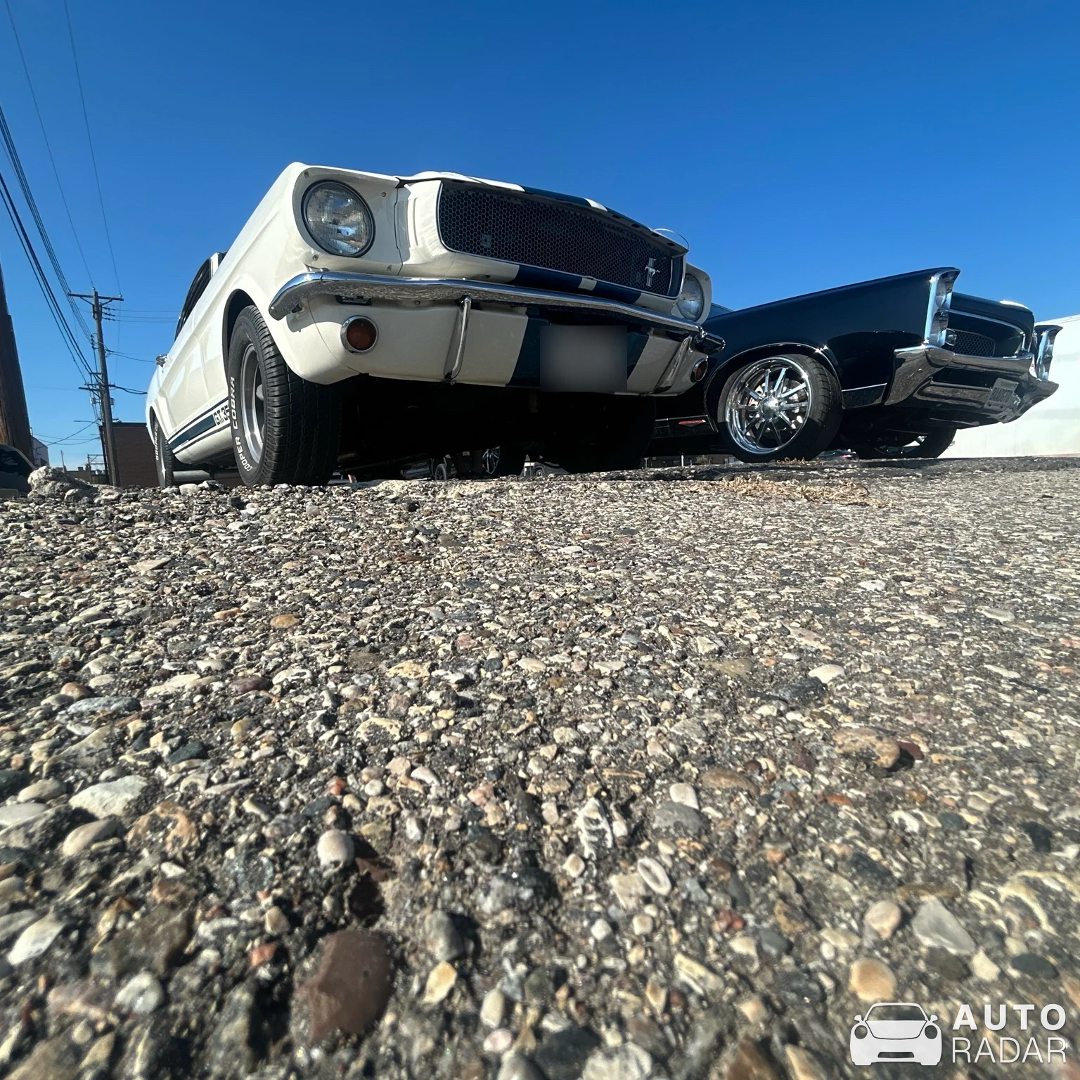 Ford Mustang GT350-H spotted in Williston