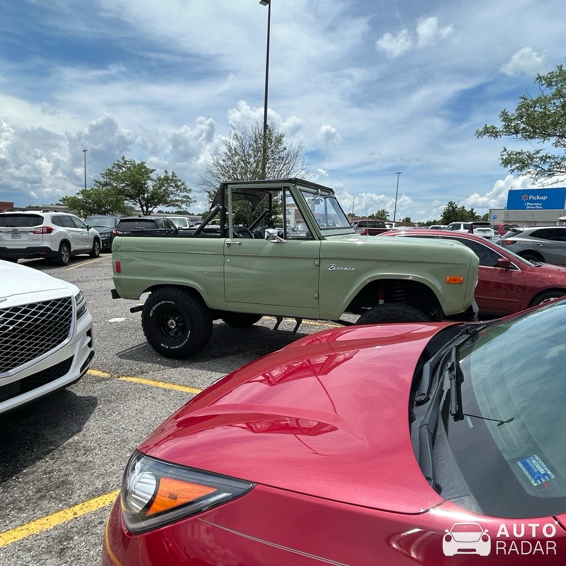 spotted in Springdale