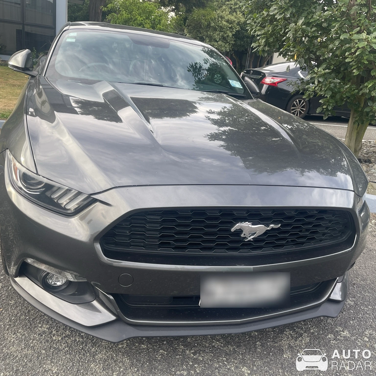 Ford Mustang GT spotted in Rolleston
