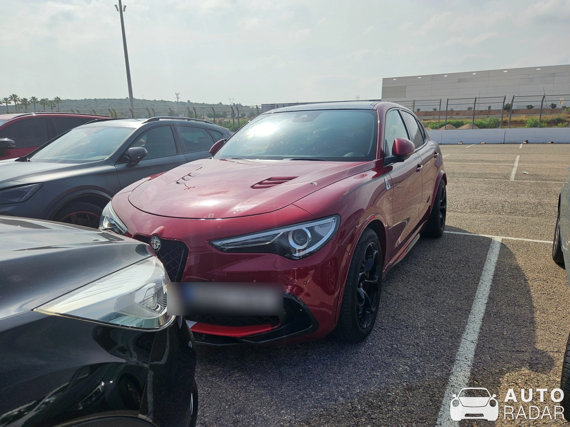 Alfa Romeo Stelvio Quadrifoglio Alfa Romeo Racing Limited Edition spotted in Los Felipes