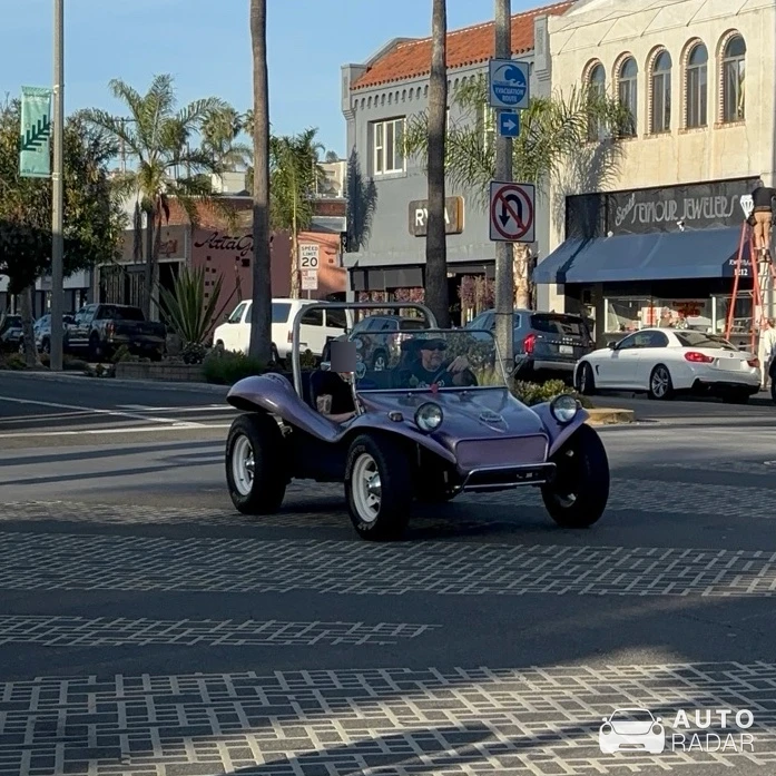 Meyers Manx spotted in Hermosa Beach, United States