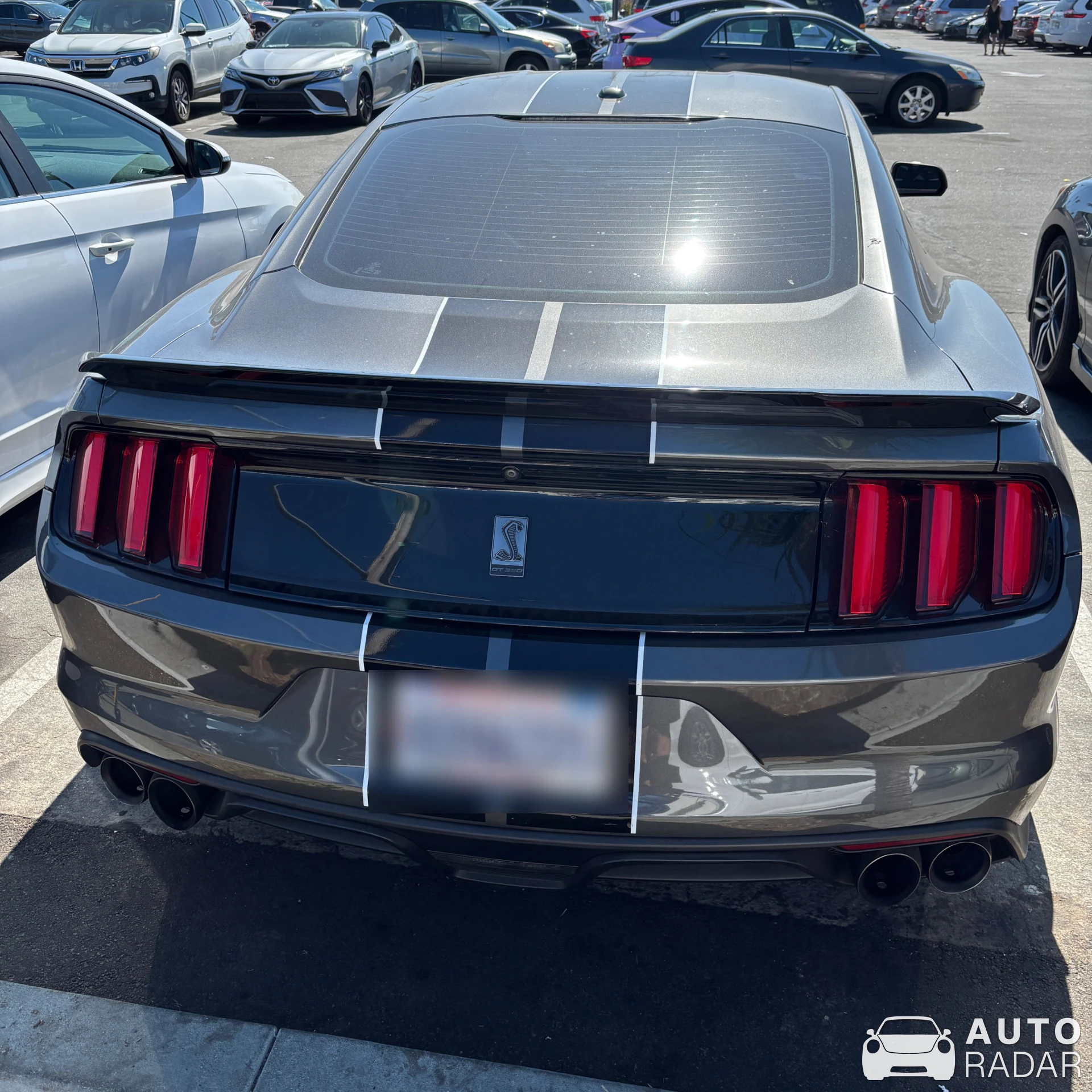 Ford Mustang Shelby GT350 2015 spotted in Santa Cruz, USA