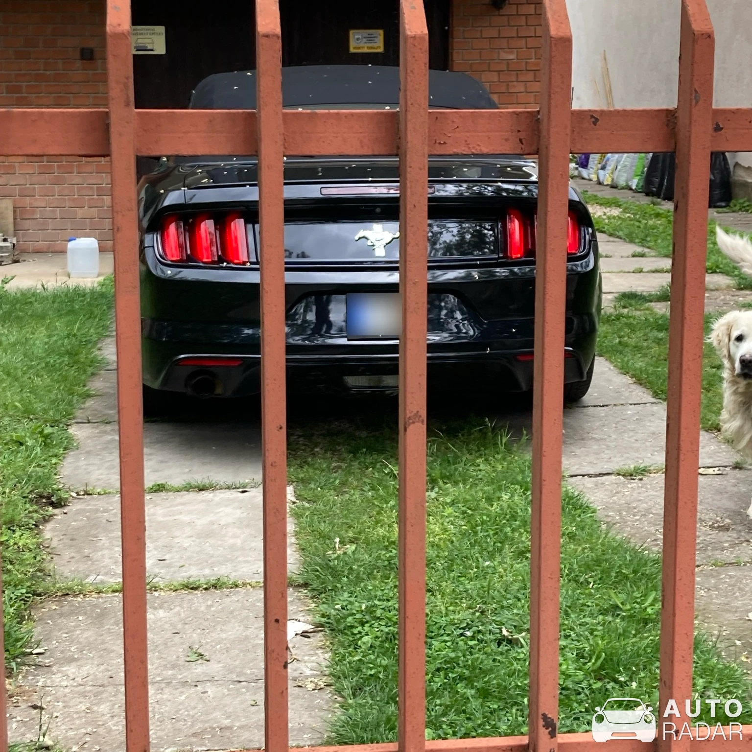 Ford Mustang 2.3 Ecoboost Convertible spotted in Budapest