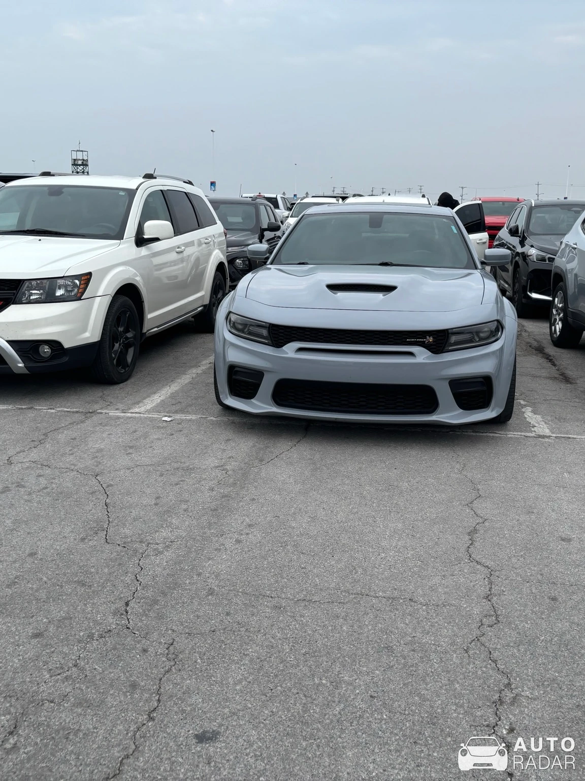 Dodge Charger R/T Scat Pack Swinger spotted in Sandusky