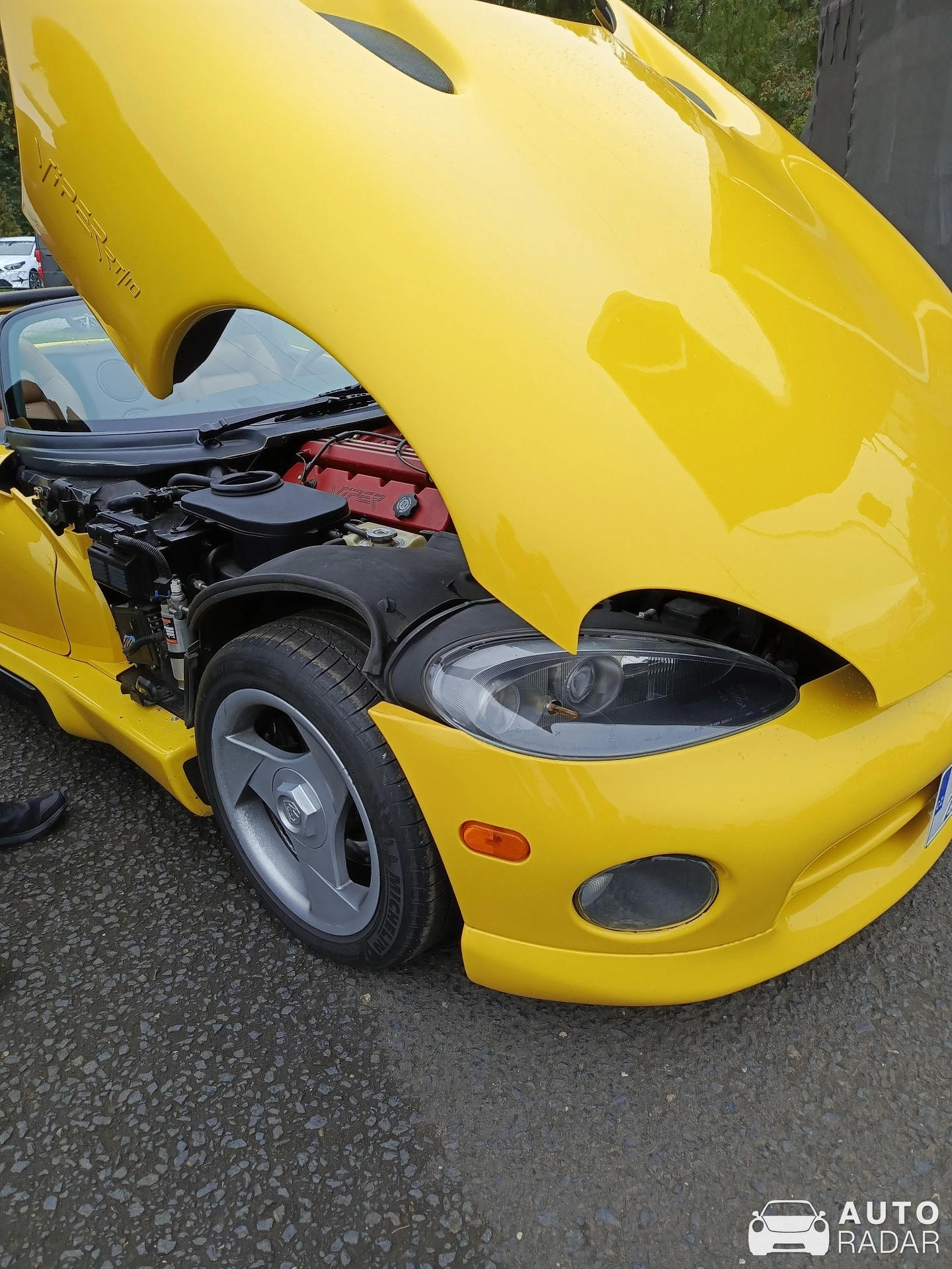 Dodge Viper RT/10 1996 spotted in Muldestausee