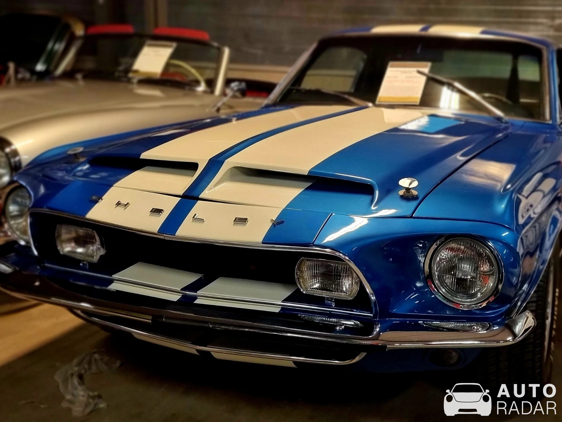 Ford Mustang Shelby GT500 spotted in Brummen, Netherlands