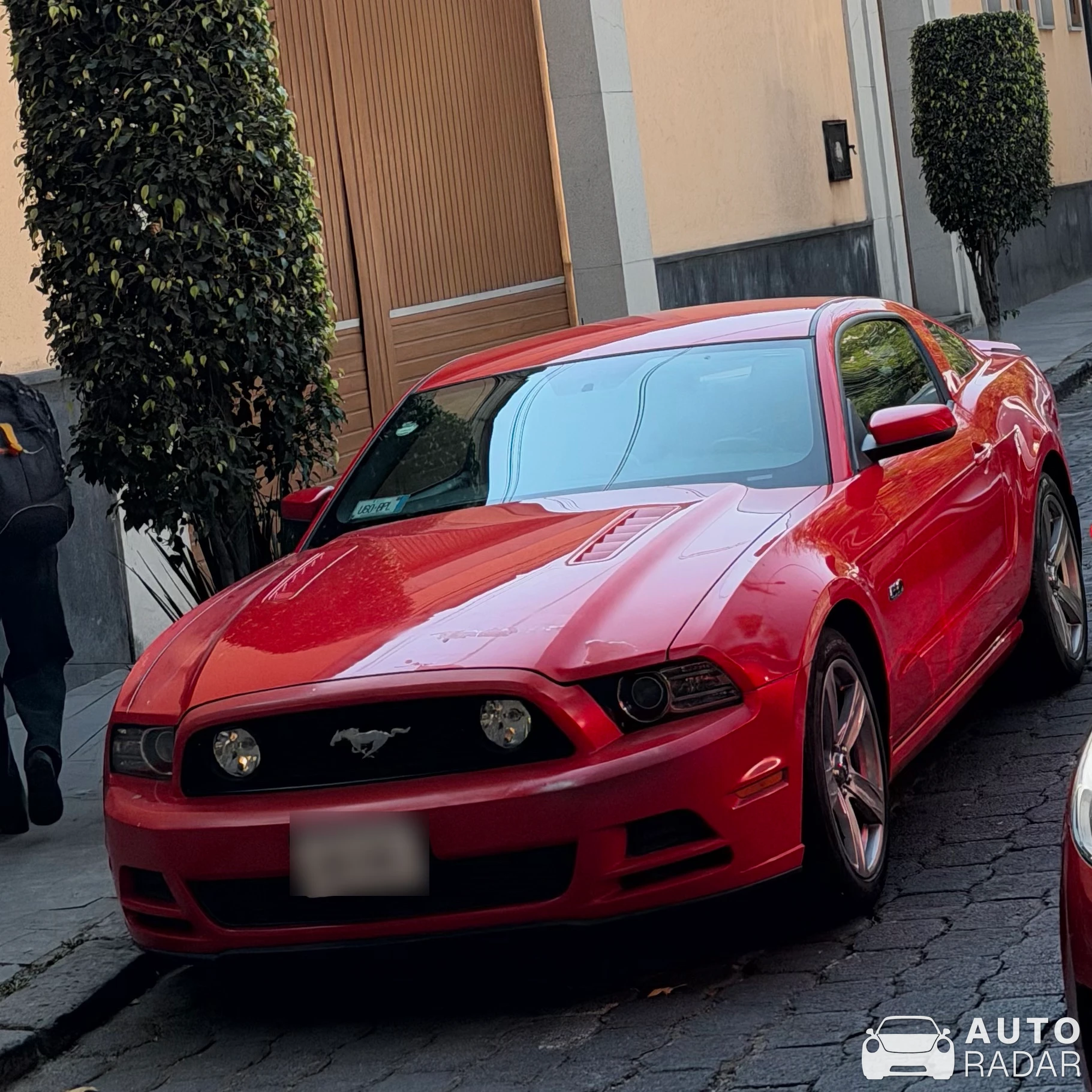 Ford Mustang GT spotted in Ciudad de México, Mexico