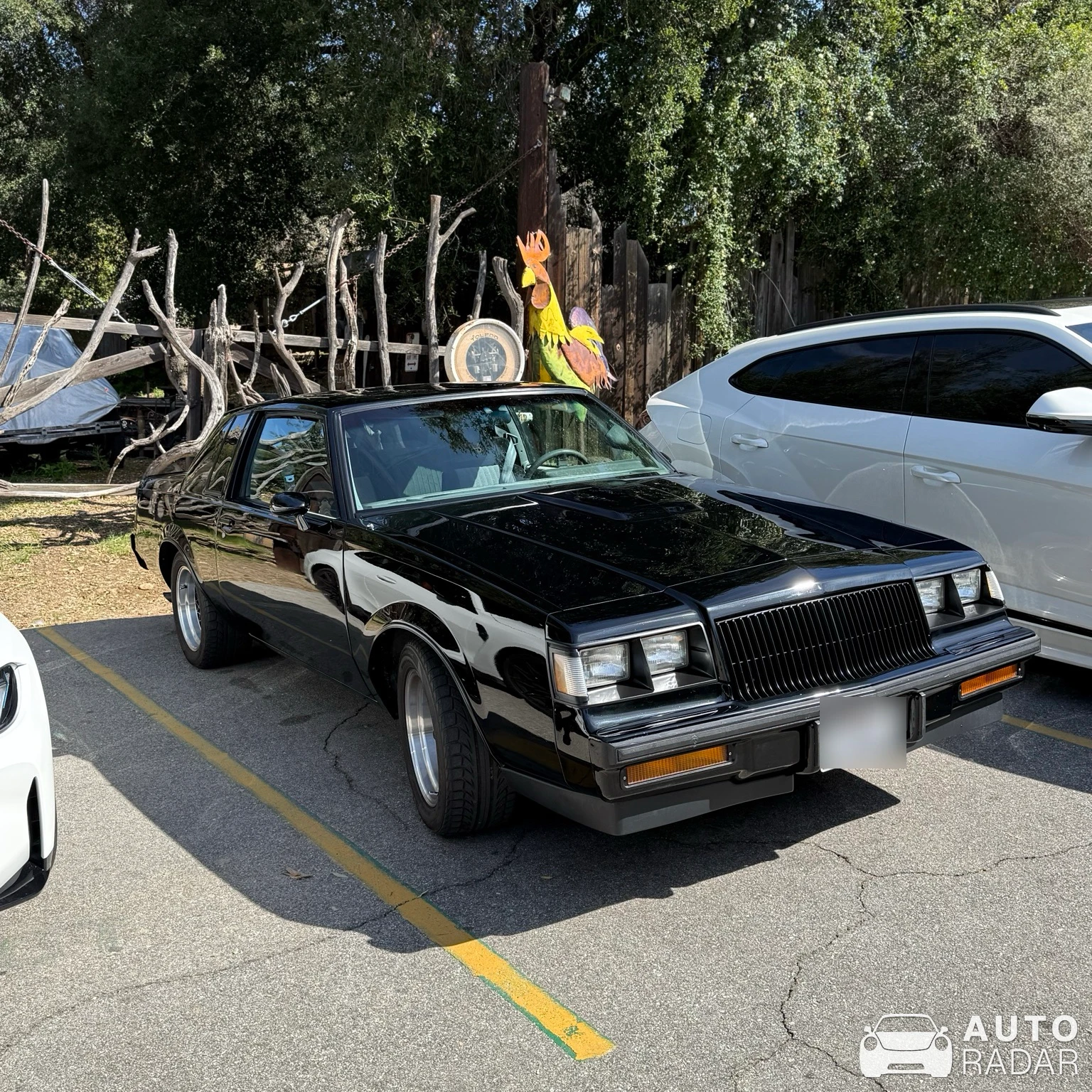 Buick Grand National spotted
