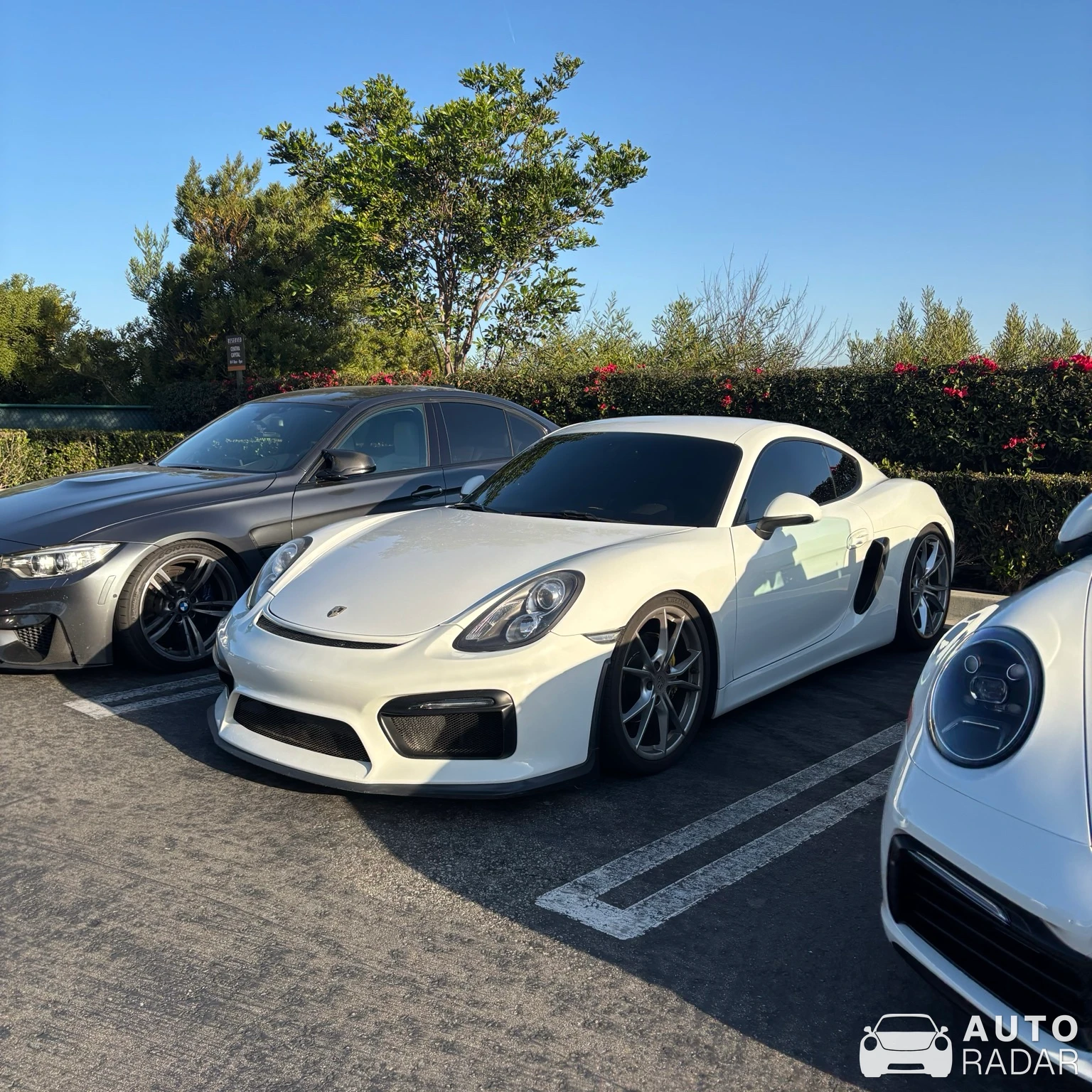 Porsche 981 Cayman GT4 spotted in El Segundo, United States