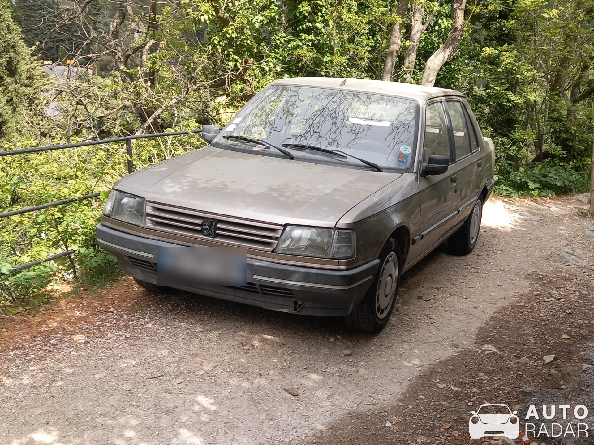 Peugeot 309 spotted in Èze