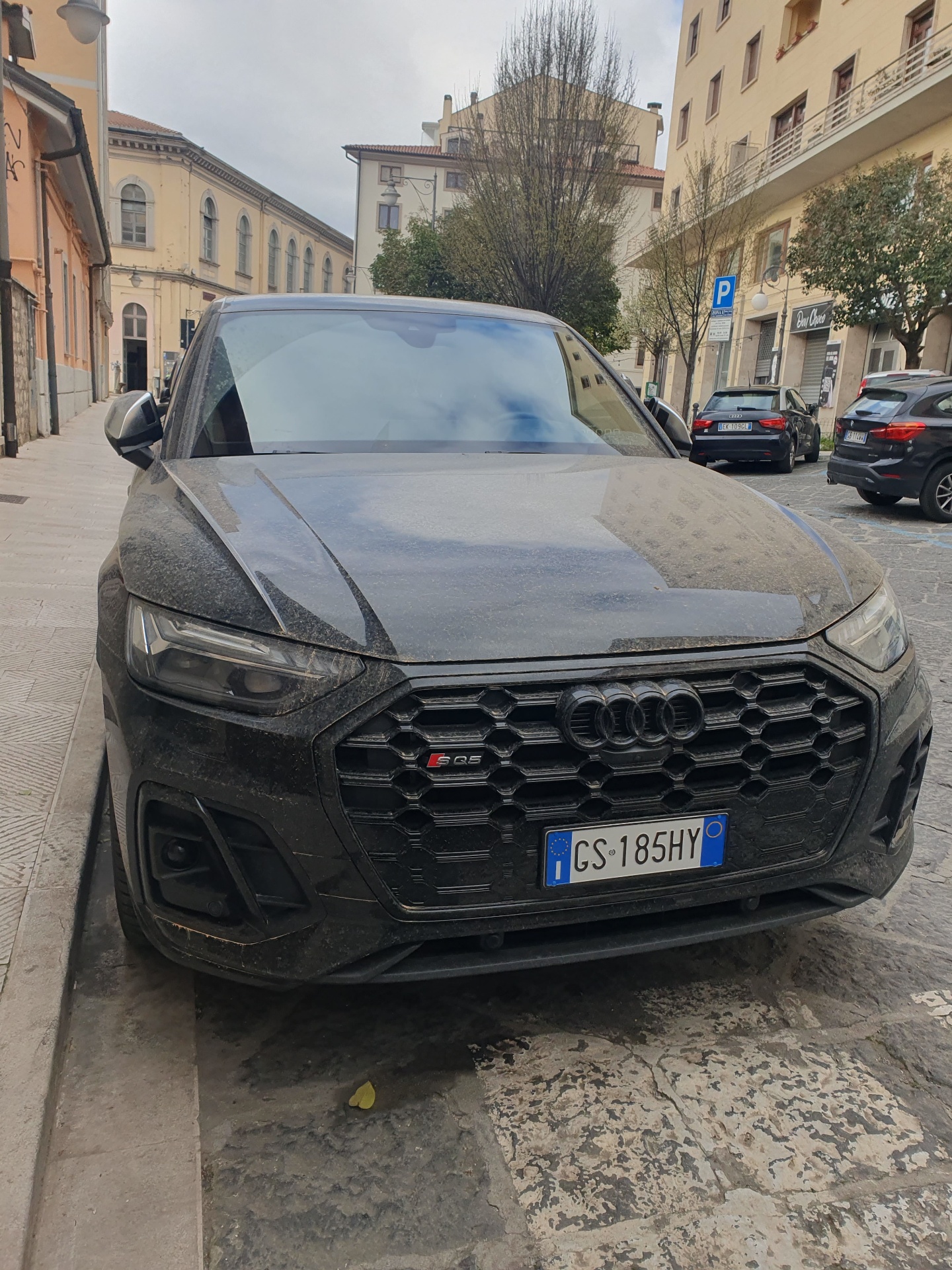 Audi SQ5 2024
