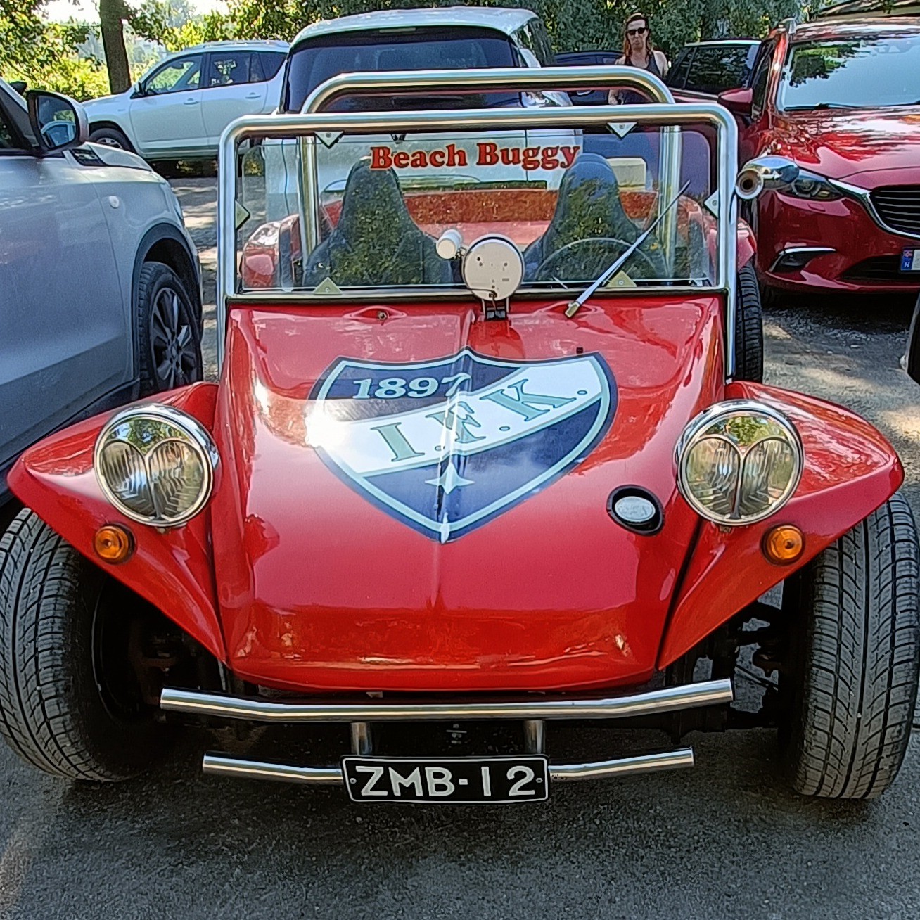 Meyers Manx
