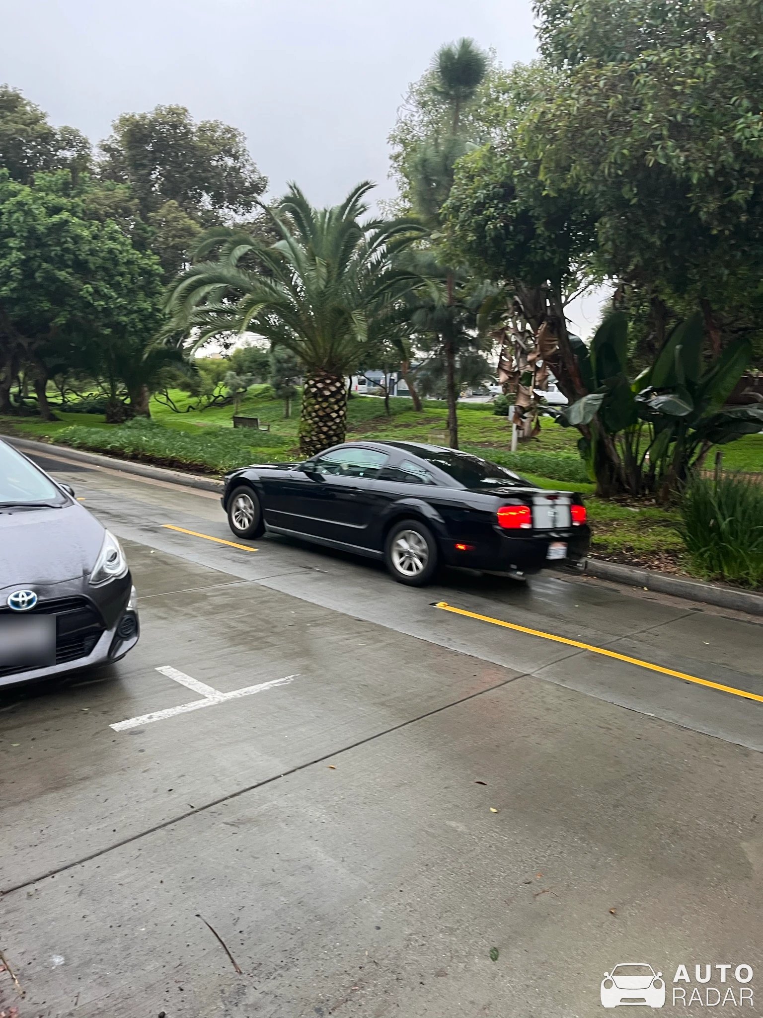 Ford Mustang spotted in Hermosa Beach, United States