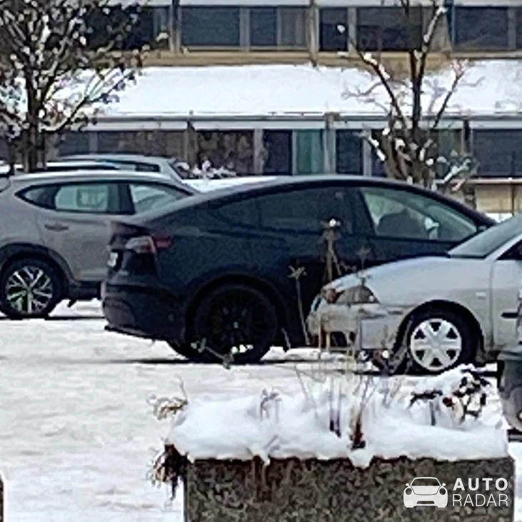 Tesla Model Y spotted in Domžale, Slovenia