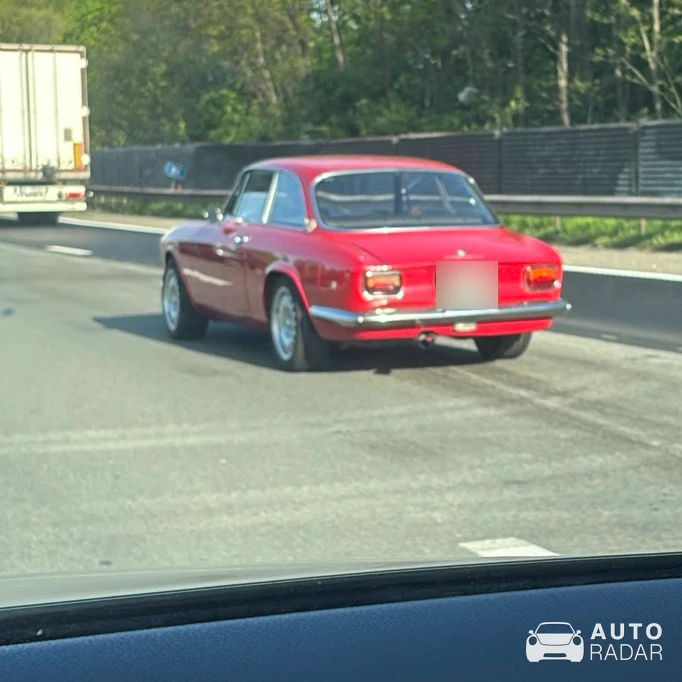 Alfa Romeo GT 1600 Junior spotted in Grimbergen