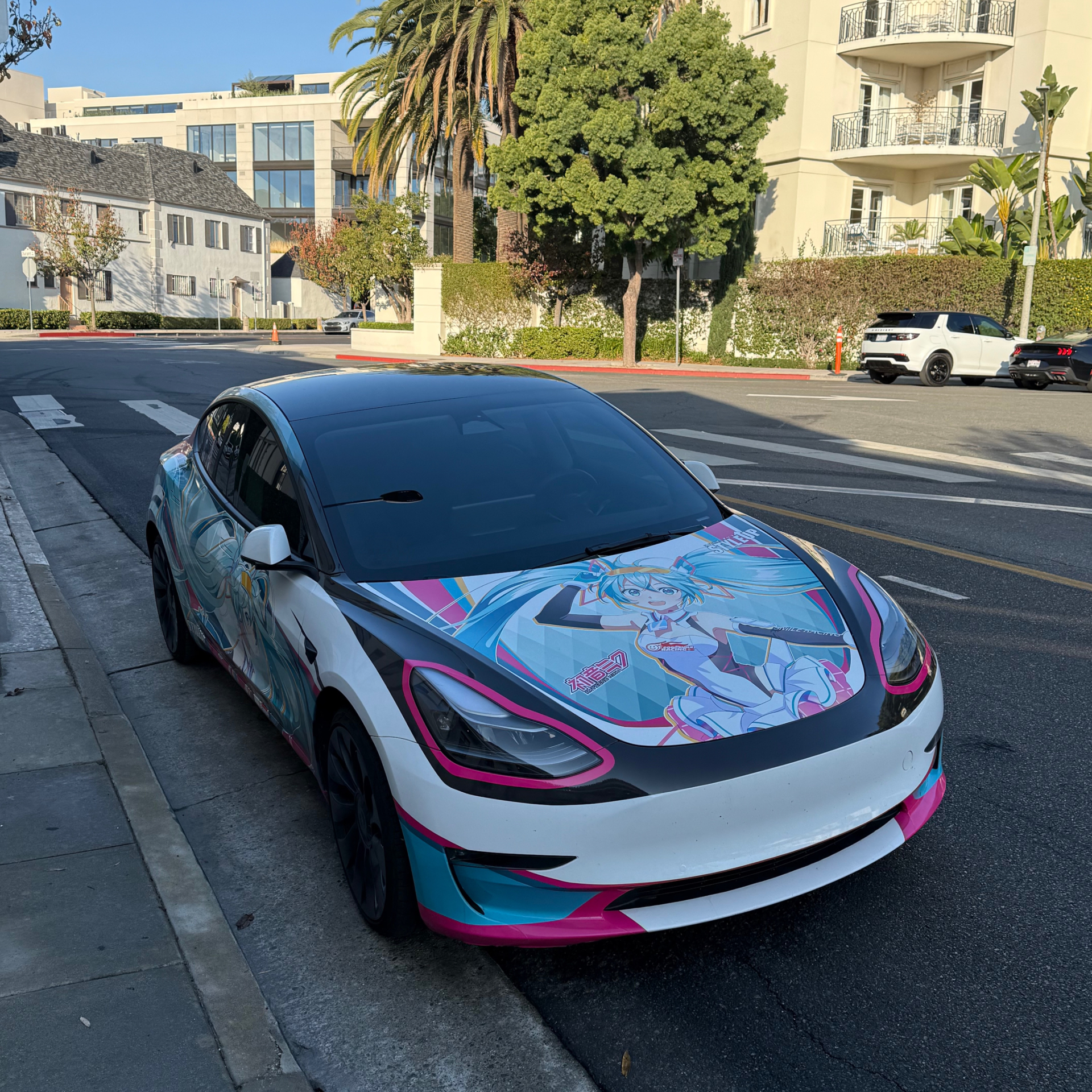 Tesla Model 3 Performance