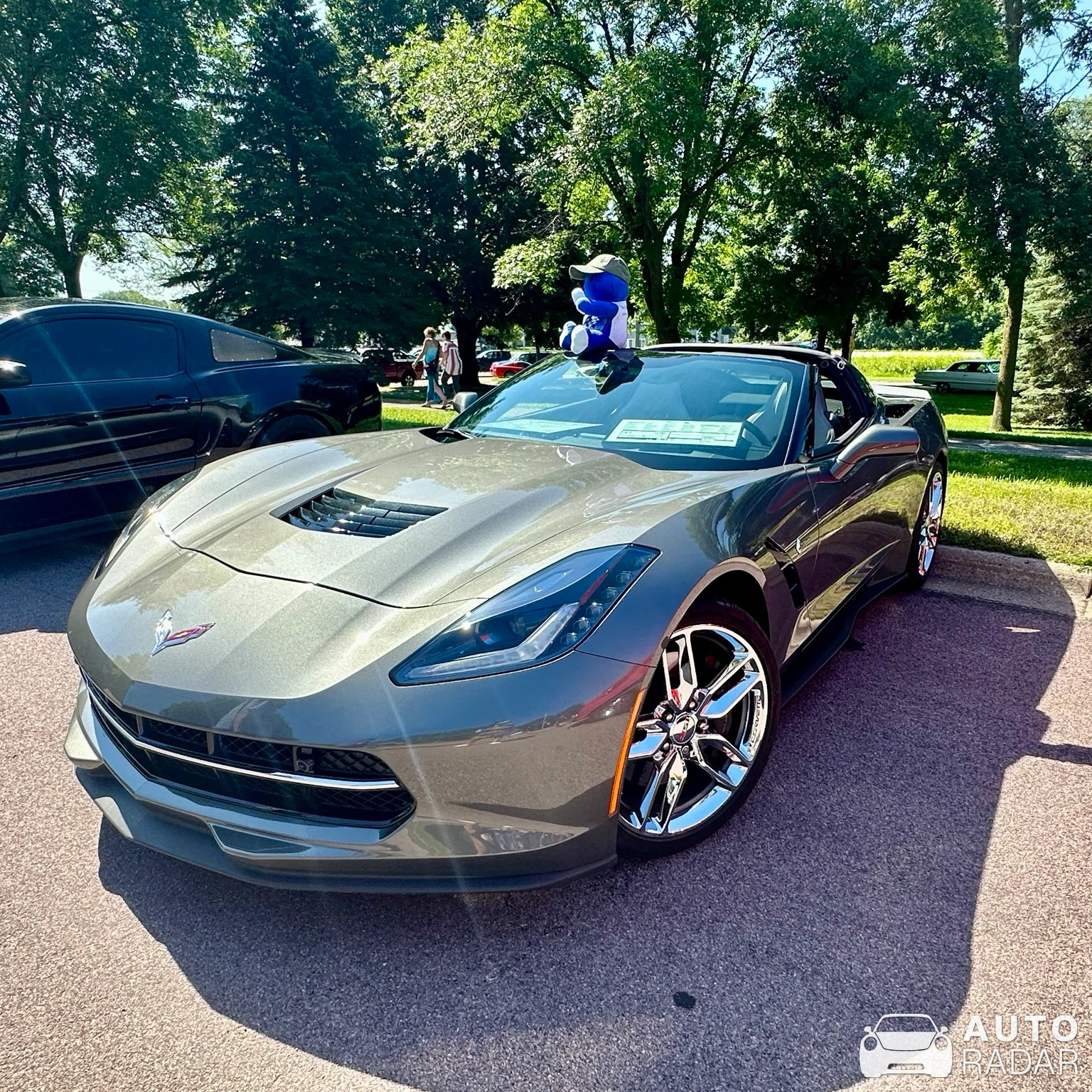 Chevrolet Corvette C7 Stingray Convertible spotted in Elysian
