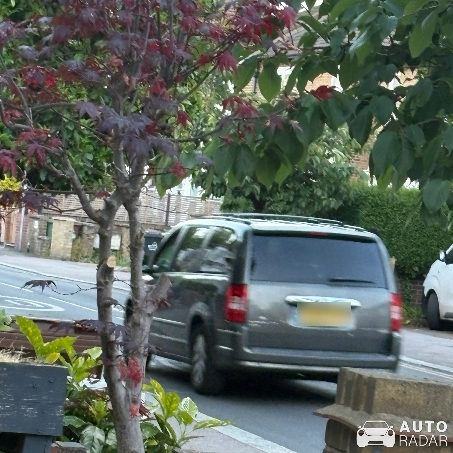 Chrysler Royal spotted