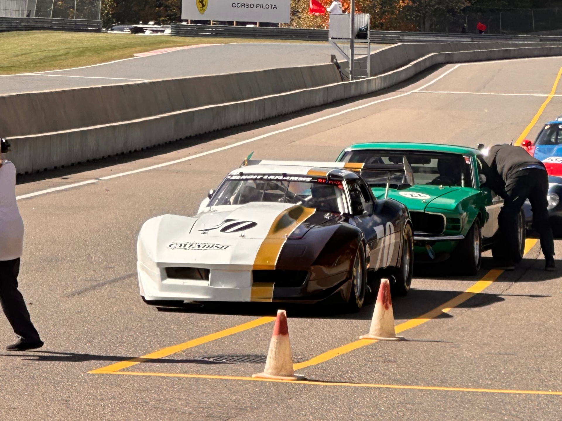 Chevrolet Corvette C3 Greenwood