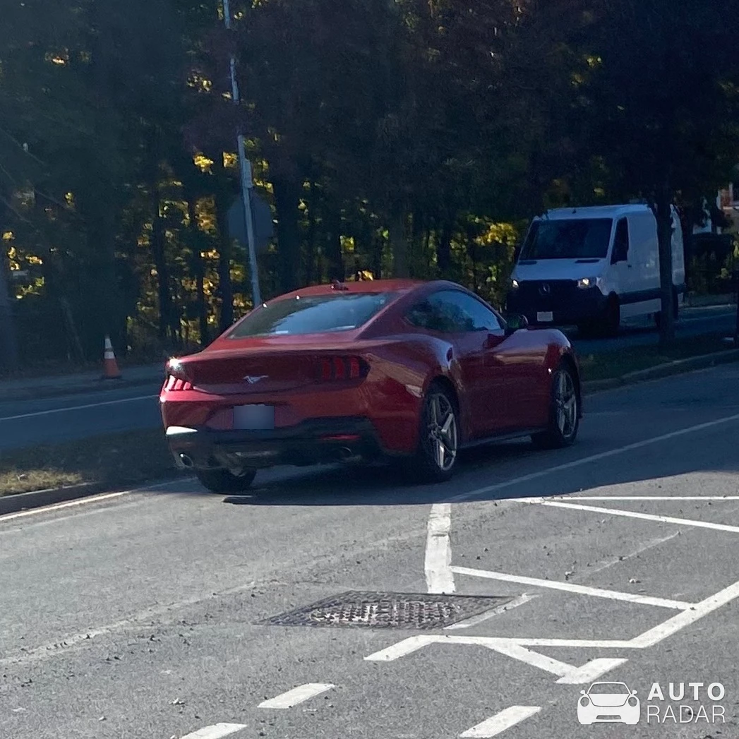 Ford Mustang GT spotted in Belmont, United States