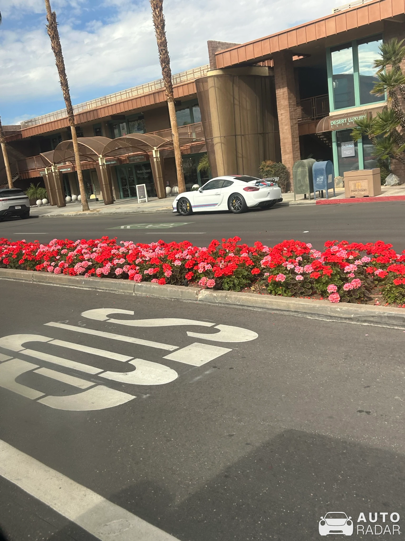 Porsche 981 Cayman GT4 spotted in Palm Desert, United States