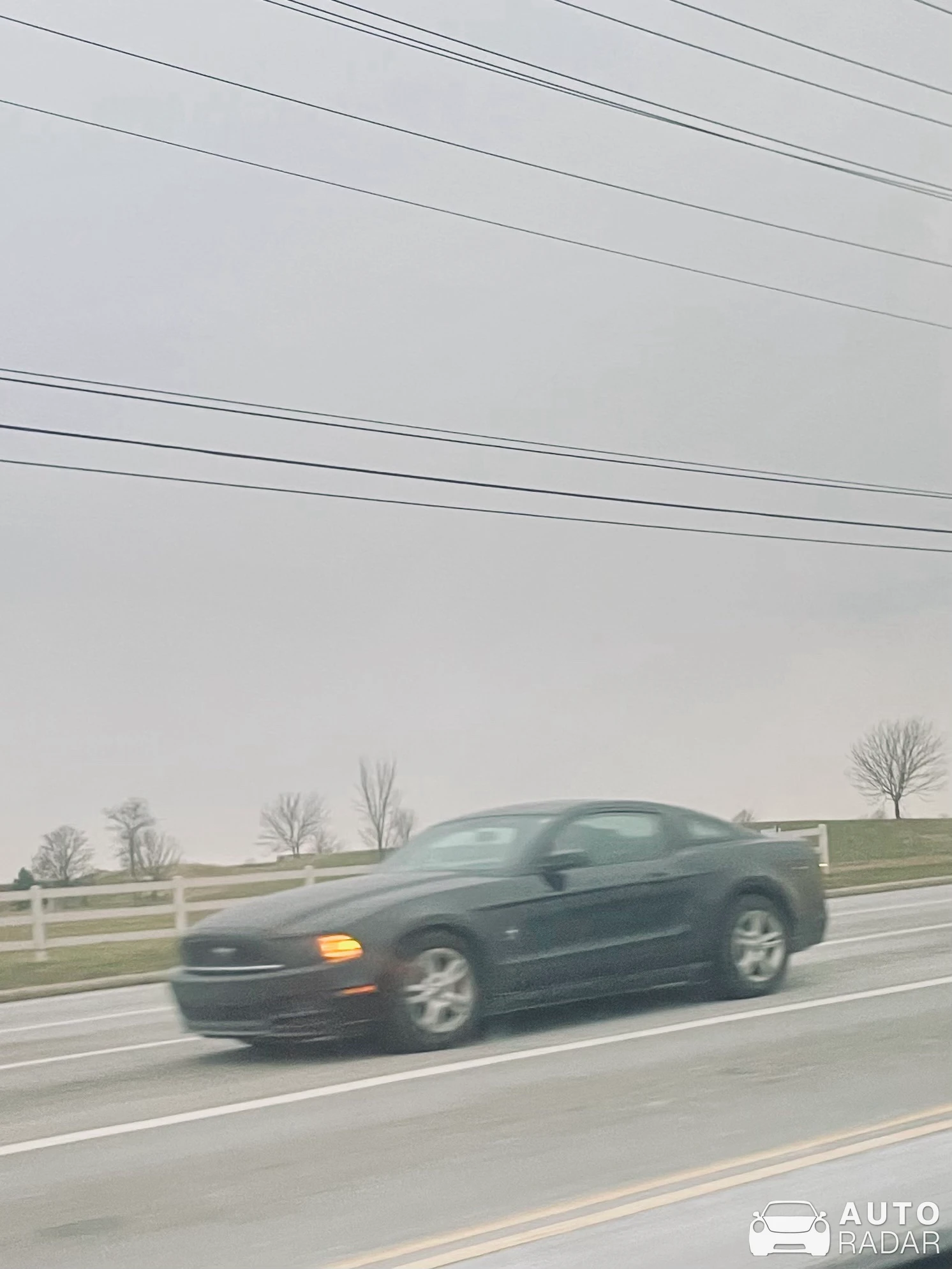 Ford Mustang GT spotted in Mason, United States
