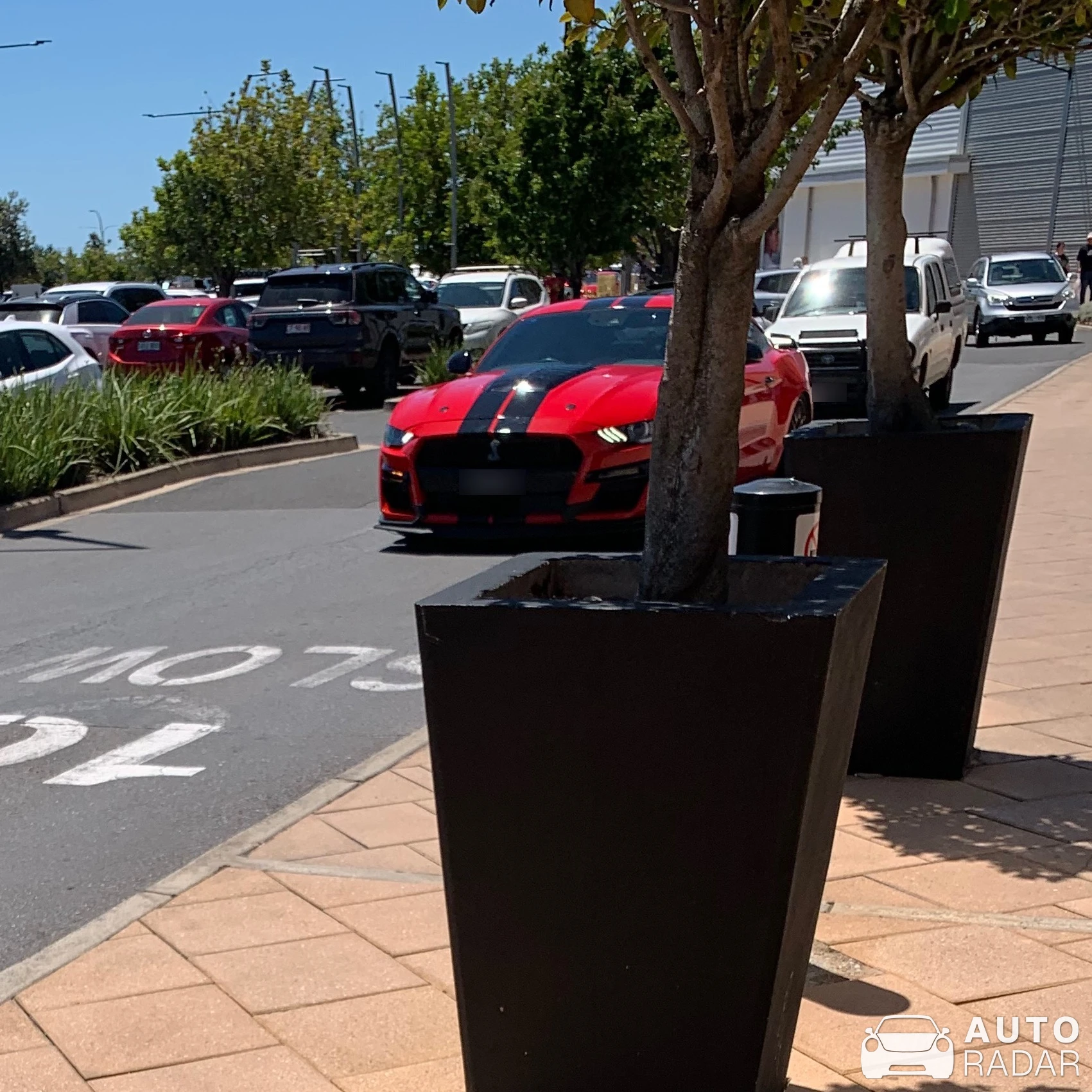 Ford Mustang Shelby GT500 spotted in Adelaide Airport, Australia